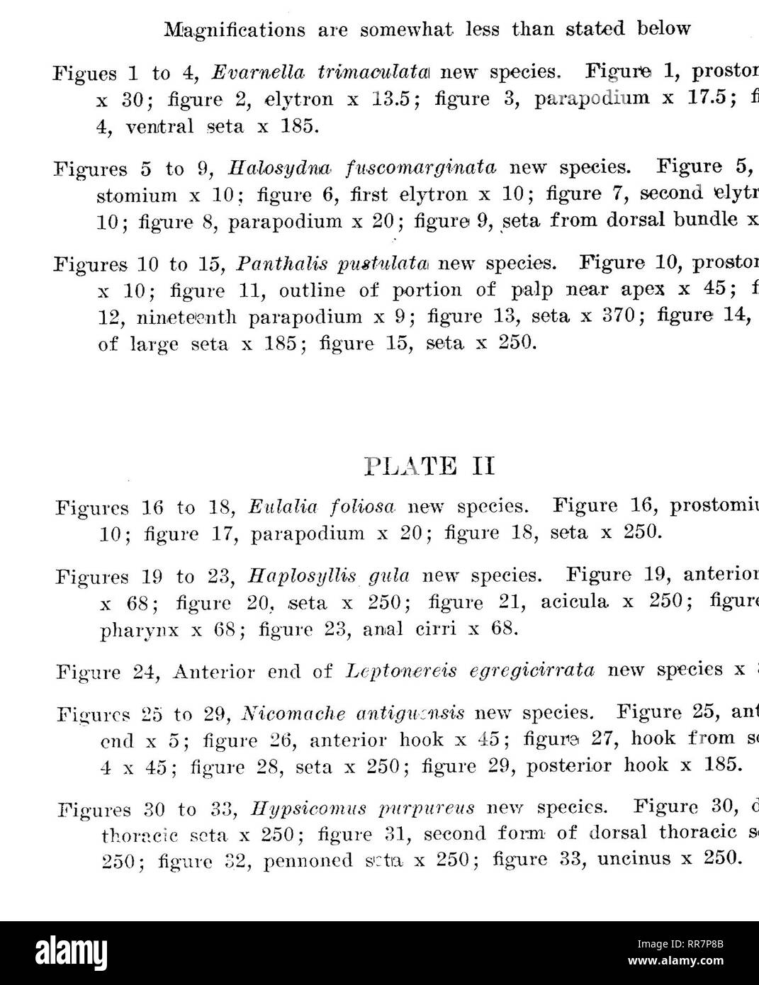 . Études en histoire naturelle. Histoire naturelle ; l'histoire naturelle. Tôles II. Veuillez noter que ces images sont extraites de la page numérisée des images qui peuvent avoir été retouchées numériquement pour plus de lisibilité - coloration et l'aspect de ces illustrations ne peut pas parfaitement ressembler à l'œuvre originale.. Université de l'Iowa ; State University of Iowa ; fabrication d'Amérique Projet. Iowa City, IA Banque D'Images