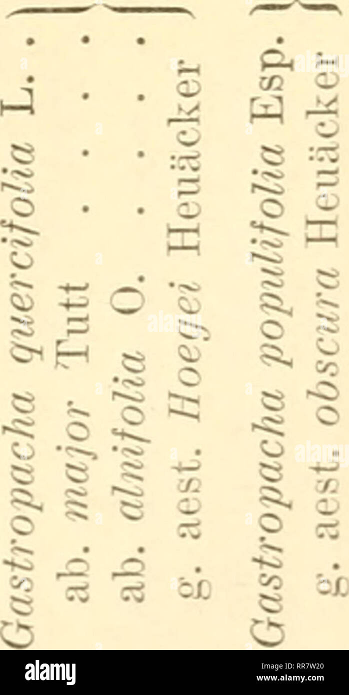 . Abhandlungen der K. K. Zool.-Botan. Gesellschaft de Wien. Botanique -- L'Autriche ; Zoologie -- L'Autriche. Prodromus der von Lepidopterenfauna Niederösterreich. 35 ^ ^ ^- XI m . ^ a M S o S 3 C3 (-t;zi Ph "H "2 lO s m o t." • »^ r rt CS-^ ^ CO p e o o o o o o CO *-' o s ^ ^^ ? v, K5 - N° ^^ 00 lO C C5 o OD CO ^ (M CO ca Ca CM CJ CO CO CO CO CO CQ JO (M (M CO ca Ol Ol Ol CQ CQ 1.0 CO Ol Kl. Ca Lo Lo 00 CO CO CO Ol 3*. Veuillez noter que ces images sont extraites de la page numérisée des images qui peuvent avoir été retouchées numériquement pour plus de lisibilité - coloration et l'aspect de ces illustrations ne peut pas Banque D'Images