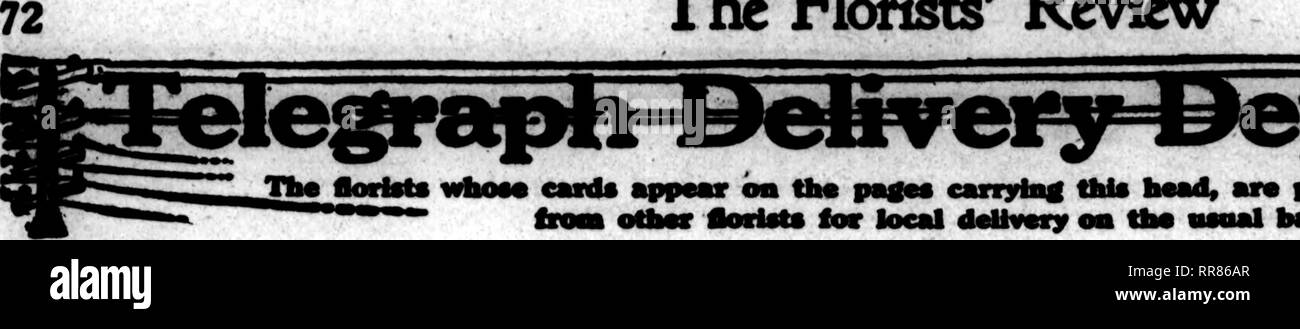 . Les fleuristes [microforme] examen. La floriculture. Le Rorists Revkw*. 26 OcTOBBS patfM, 1922 e emnybag* thia hmd, pour doUvory locaux oo to* aro à prapuod ordon grippe. Veuillez noter que ces images sont extraites de la page numérisée des images qui peuvent avoir été retouchées numériquement pour plus de lisibilité - coloration et l'aspect de ces illustrations ne peut pas parfaitement ressembler à l'œuvre originale.. Chicago : les fleuristes Pub. Co Banque D'Images