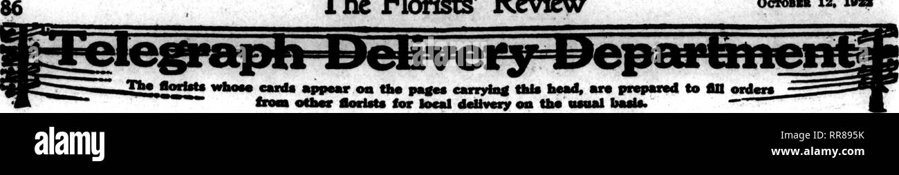 . Les fleuristes [microforme] examen. La floriculture. Les fleuristes'OCTOBBB d'examen 12. IMl. Les membres F, FLEURISTES ATHENIA D. T. : : fleuristes de Chicago, les théâtres de l'établissement situé au 76 WEST WASHINGTON STREET, CHICAGO CHICAGO BANLIEUE FLOPtST ^ 3457 N. HAMILTON AVE. Kvantngt OptW uA dimanche. Les États C. T. D. GEORGE FISHER &AMP ; FR. 183 N. WABASH AVE. CHICAGO CENTRALIA, MAUVAIS Les Serres Webster Finest boutique dans le sud de l'Illinoia États F. D. T. CENTRALIA. Mauvais. JX7 ROQQ nous servir la cause fol . W. rVV-^OO Illinois villes, service de train direct : Mt. Vernon, Wayne City. Kair- champ. Sesser, Christop Banque D'Images