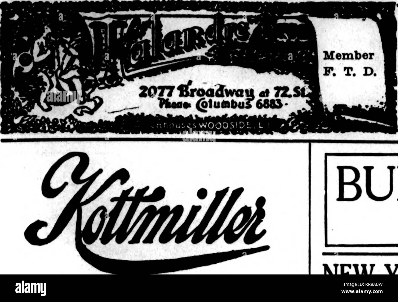 . Les fleuristes [microforme] examen. La floriculture. Nous CAERY LE PLUS HAUT GRADE OP COUPÉES ENVOYEZ-NOUS VOS COMMANDES DE NEW YORK À CÔTÉ DE L'HÔTEL SALLES ET DISTRICTS ...un fleuriste... 426 Madison Avenue.-et la 49e Rue, AlsoVanderbiltand WCWiXt MPVT/ hôtels Ritz-Carlton l&155;il&gt;W IV&gt ; IIV'Talepbone 788 HRl Homy Highett award à l'International Flower SboWc 11 avril, Grand Central Palaee. Oiotatiaii Cntral. Pertonai AttMtll&amp;io David Clarke's Sons 2139-2141 BROADWAY Tél. 1552. 1653 oluinbus !C NEW YORK CITY Les commandes à livrer à New York et soigneusement remplie sans délai au rat raisonnable Banque D'Images