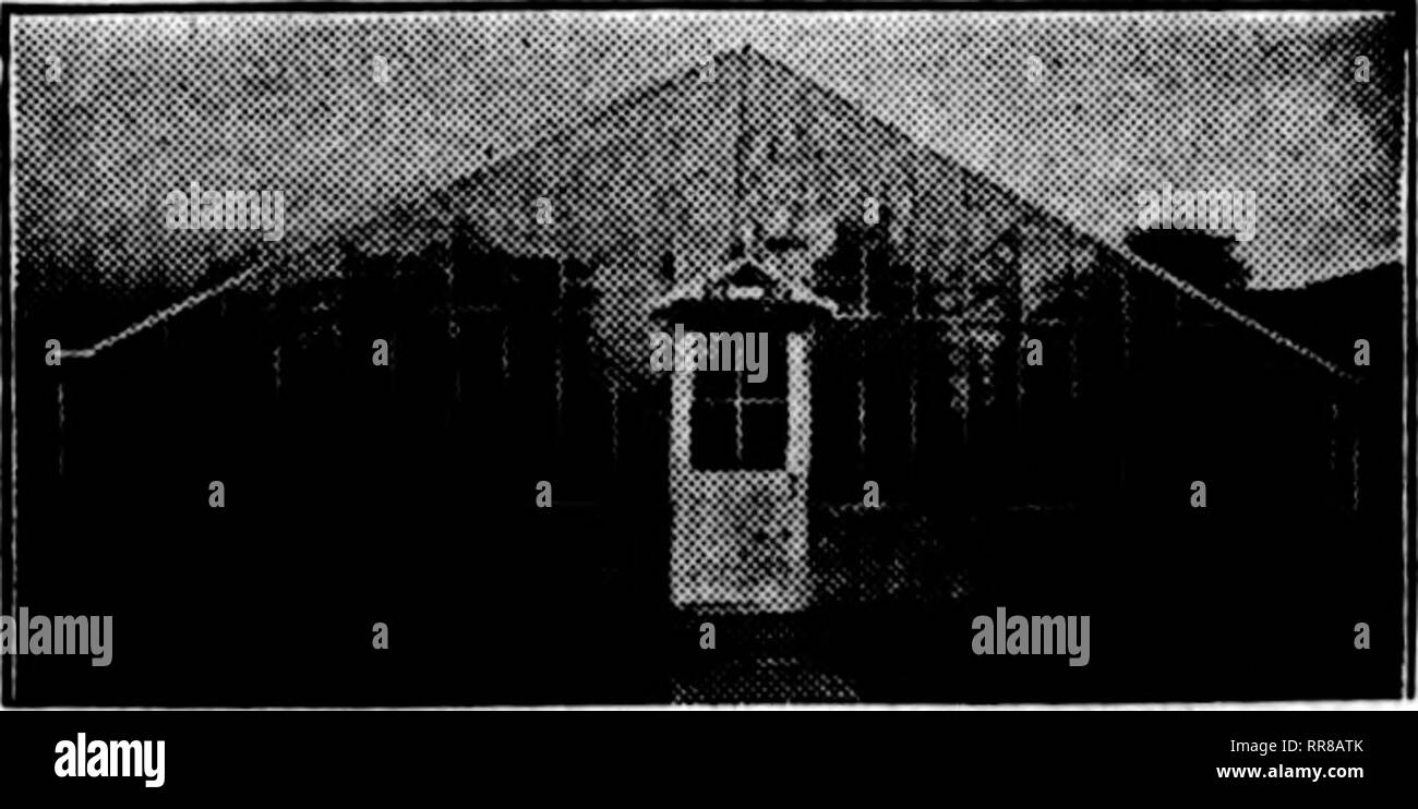 . Les fleuristes [microforme] examen. La floriculture. Mentionner l'examen lorsque vous écrivez. Les constructeurs. Nous construisons tous types de serres. Obtenez notre estimation sur votre prochaine maison. Weeber &AMP ; la race 181S Jobuon St. N. E., Minneapolis, Minn. itentlon HeTlew la lorsque vous écrivez. Verre à effet de Sharp, Partridge &AMP ; 2263, rue du bois d'Co. CHICAttO *'DURO amiante ciment plastique* VITRAGE étanche à l'épreuve de l'eau mentionne l'examen lorsque vous écrivez. Quelque chose de nouveau dans les émissions de télévision "verre verre de cristal" même épaisseur. Le coût pour vous n'est plus. Pourquoi ne pas avoir le meilleur ? Obtenez notre prix. CADILLAC Banque D'Images