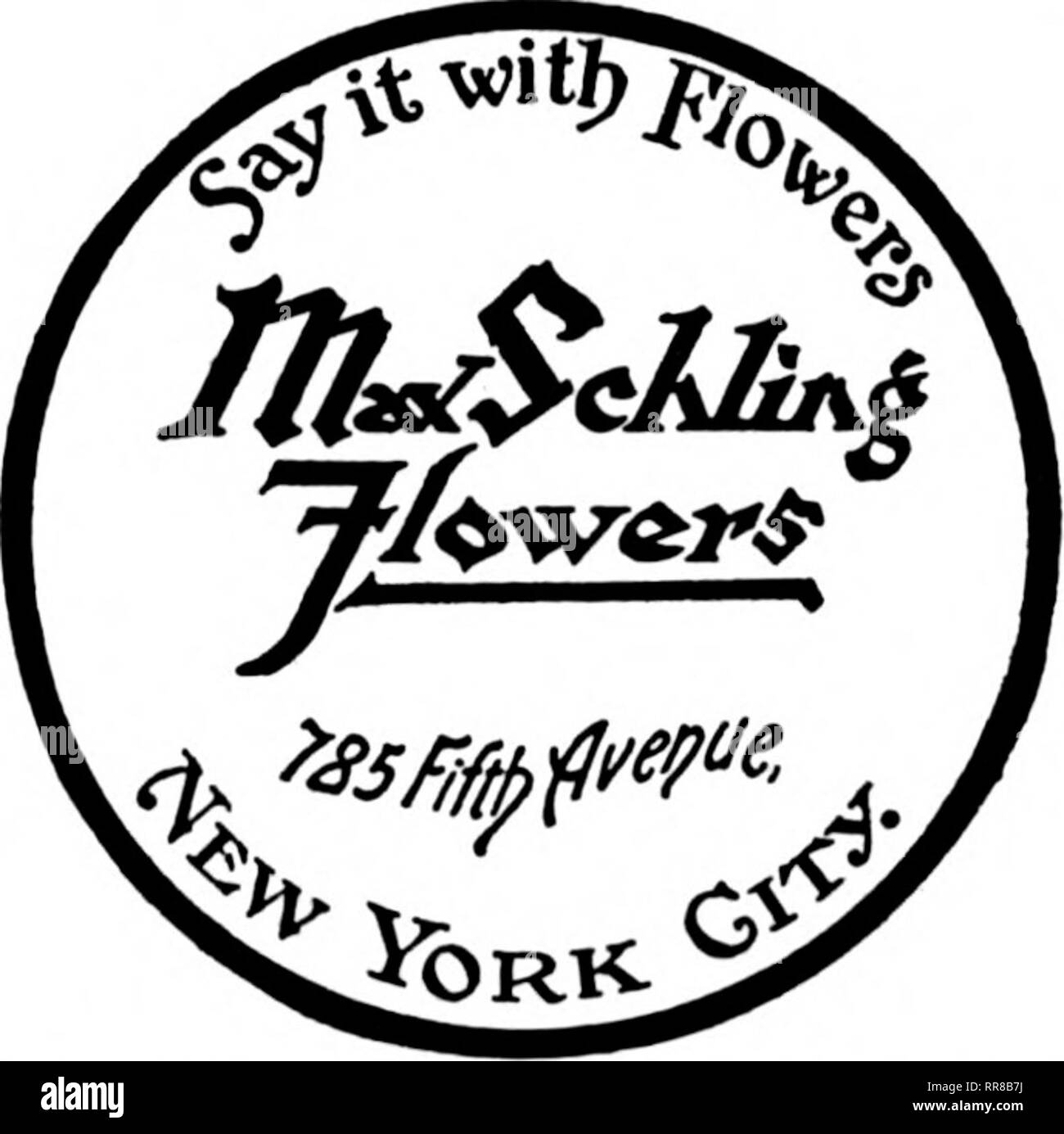 . Les fleuristes [microforme] examen. La floriculture. 478, rue principale Tél. New Rochelle 1063-4 rame de wagons flset delivary invite à assurer. Bronxvilla Mamaronsok Moant Pelham Larchmont Vernon Harrison Hartadale Tuckaho^ Scarsdale Seigle NEW YORK 165 E. 110e Rue Tél. Harlem 6633 FRANK J. VALENTINE DEALER EN FLEURS COUPÉES estate, B.'illston Spa, N. Y., trouve un im- prouvé, la demande locale de détail justifiant une growiiij^ ; de plus de variété et moins de quantité, et avances l'avis qu'il' plus des propriétaires de petits endroits mauvais les petites villes se poursuivre dans cette voie et s'appuient sur le Proche- ) Banque D'Images