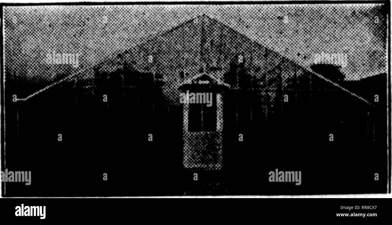 . Les fleuristes [microforme] examen. La floriculture. LOUISIANA RED CYPRESS WASHINGTON RED CEDAR A. DIETSCH CO., Dépt. "B." 2640 SHEFFIELD AVE. Chicago, III. Mentionner l'examen lorsque vous écrivez. Les constructeurs. Nous biilUl toutes sortes de serres. Obtenez notre estimation sur votre prochaine maison. Weeber &AMP ; La Race 1815 Johuon MINNEAPOUS St N. E., Minn.. Mentionner le BeTlew quand vous écrivez. Verre à effet de Sharp, Partridge &AMP ; 2263, rue du bois d'Co. CHICAttO " DURO PLASTIQUE" l'amiante ciment vitrage étanche à l'épreuve de l'eau 'tPaerlM ? Vitrage de points pour Grccalioiiacs euy dur et vrai, car Banque D'Images