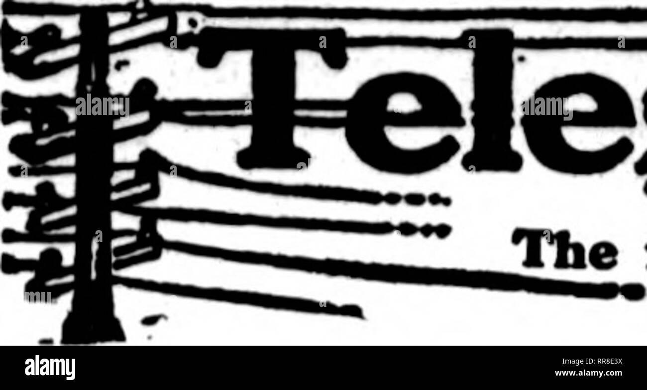 . Les fleuristes [microforme] examen. La floriculture. 120 Le Rorists DlCBMBBS' Review 14, 1922. La flori"t" dont les cartes apparaissent sur les pages contenant cette tête, sont prêts à remplir les commandes, "*" de autres fleuristes pour la livraison locale sur la base d'habitude.. Veuillez noter que ces images sont extraites de la page numérisée des images qui peuvent avoir été retouchées numériquement pour plus de lisibilité - coloration et l'aspect de ces illustrations ne peut pas parfaitement ressembler à l'œuvre originale.. Chicago : les fleuristes Pub. Co Banque D'Images