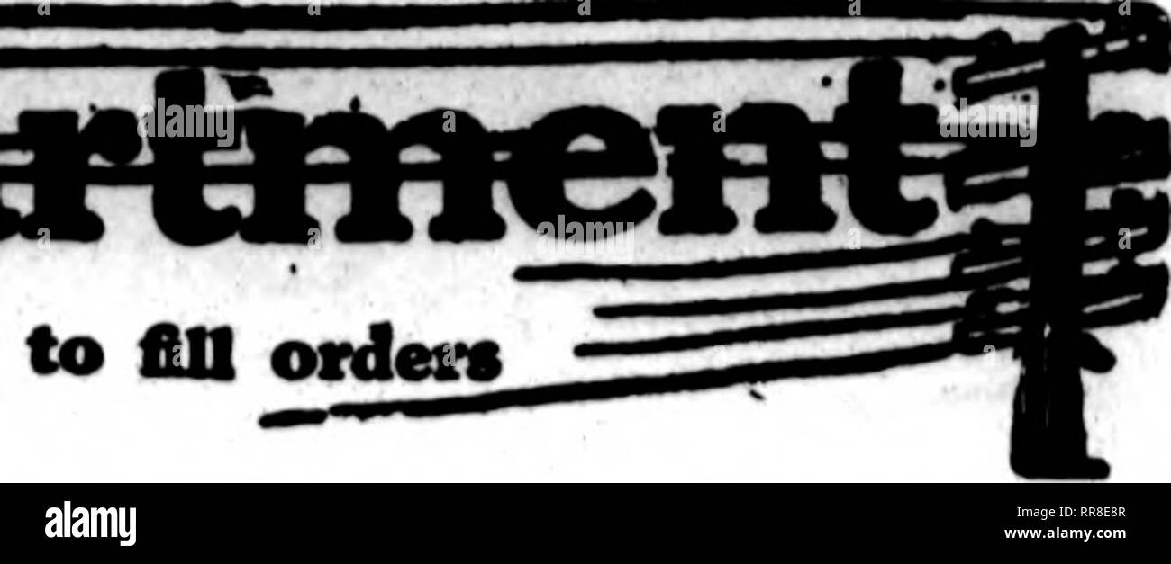 . Les fleuristes [microforme] examen. La floriculture. Le Hortote* dont la carte apparaissent sur les pages contenant cette tête, sont prêts à fin des commandes de "&gt;thcr fleuristes pour la livraison locale sur la base d'habitude.. Les États P. D. T. Phone : Canal | ^ H. W. SHEPPARD ANCIENNEMENT HILL CO. FLORAL FLEURS DE QUALITÉ Très Arransed dans une manière artistique inégalée de votre patronage sollicité 532-534 Race Street Cincinnati, Ohio LIMA, O. LE ROLF ZETLITZ CX). SUCCBSSOItS ZETUTZ À EGGERT N. D. T. F. MEMBRE FORT 478 Zanesville, O. C. L. Humphrey a le meilleur pour faciUties Ecornet souffler vos commandes. Msmber Florists' Telegrap Banque D'Images