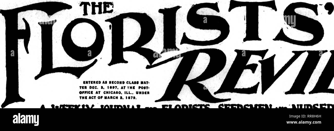 . Les fleuristes [microforme] examen. La floriculture. J ' "' .^ ^i r i '^^ j u n de l'ONU. 1 U H E. lO SUBSCRIPTIONS $2.00 P"r normale "KZBr UNE WEEKIY INSCRIVEZ-VOUS"tAL'" fliORISIS aiiiwijii « nubservmeu VoLXUX A"". ruOBISTS' PUBLISHING CO., Oaxton BaUdlns S"0, 508 South Dearborn Street, Chicago. CHICAGO, le 6 juillet, 1S22. N° 1284. Enjeux de la canne NOTE CES NOUVEAUX BAS PRIX. 100 lono IM-pied, vert $0.45 $:i.M 2 -pied, vert 554,50 2"fl-pied, vert 65 5,253 pieds, vert 75 6,00 100 1000 3J-2-foot, vert lO.HO 7.00 $ 4 -pied, vert 'M K.(05 -fdot naturel 1,25 11,00 6. pieds, naturel 1,36 11,00 Asparagus plumosus Nanus Gr Semence Banque D'Images