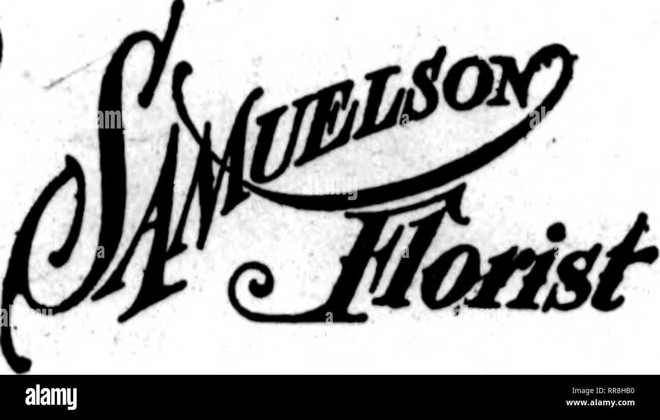 . Les fleuristes [microforme] examen. La floriculture. Banlieue de Chicago ^esrASusMco rber oiss^^^ ^^ Ou/ST 3457 N. HAMILTON AVE. Bvenfatsaand Snndays ouvert. Les États F. D. T. GEORGE FISHER &AMP ; FR. 183 N. WABASH AVE. CENTRAUA CHICAGO, ILL Les Serres Webster Finest boutique dans le sud de l'Illinoia États F. D. T. CENTRALIA, malade. JX7 ^OQQ R Ve servir la cause fol . Les villes de l'Illinois, W. rvWOO train direct : Mt. Vernon. Wayne Ville, Juste- zone, Sesser, Christopher, Herrin. Ashley, Location- bondale, Nashdlle. Oakdale. Coulterville, Sparte. Salem, Odin, Sandoval, Carlyle. Patoka, Kinmundy, Farina. F. D. T. Moi Banque D'Images