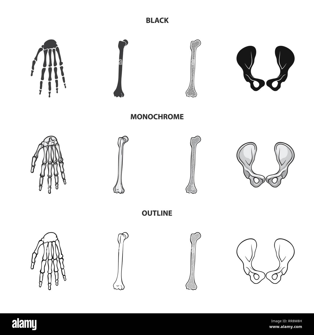 Fémur hanche,poignet,,casse,bony,joints,le calcium,péroné jambe,bassin,ossature,shin,chirurgie,genou tibia,bras,sain,,carpe,santé,fracture,linstallation,xray,la douleur,DE,panneaux,joints,mouvement,dommage,médecine,clinique,biologie,médical,os,squelette humain,anatomie organes,,set,icône,,illustration,collection,isolé,design,graphisme,élément vecteur vecteurs,signer , Illustration de Vecteur