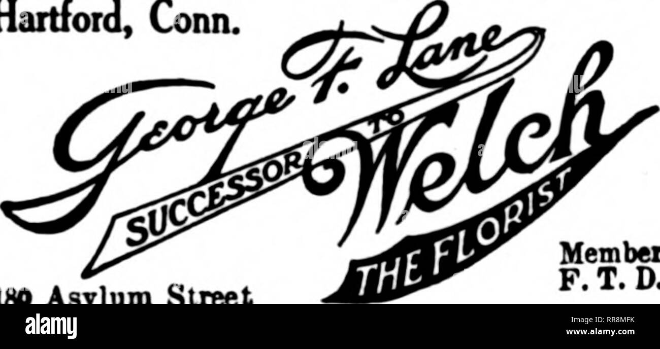 . Les fleuristes [microforme] examen. La floriculture. ATLANTIC CITY, NEW JERSEY. Atlantic City Flower Shop 1519 Pacific Avenue toujours un gros stock disponible de toutes les sortes de fleurs et plantes. Une attention personnelle. F. D. T. Membre. DOVER, NEW JERSEY 148 Est Bla&Lt ;:kwell Téléphone 470 rue Sunnyside Serres Nous livrons dans les villes suivantes : Wharton, Kenvil, Suecasnnna, Lake Hopatcong, Stanhope. Natcong Rockawav,. Denville, Ht. L'espoir, Mt. Tabor, Chester. Créé VINGT-DEUX ANS États F. D. T. avoir notre propre verre PATERSON PASSAIC T M NOUVELLE Jersey EDWARD SCEERY États Florists' Telecr&amp;ph Deliverr Ass'n. S Banque D'Images