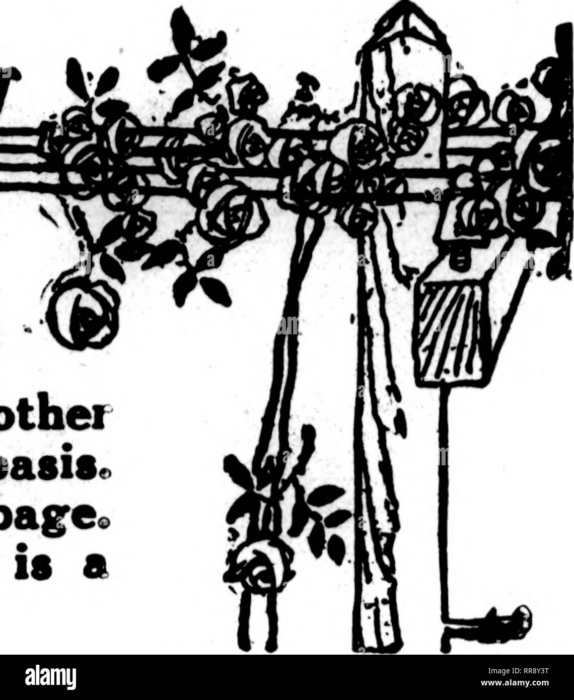 . Les fleuristes [microforme] examen. ^graRLJeliverv la floriculture. di Ministère- fHE apparaissent dans les cartes dont les fleuristes •&amp ; la partie rose de l'examen pour fleuristes sont prêts à remplir les commandes des autres fleuristes, pour la livraison locale, sur l'habituel basise. Voir l'index par villes sur la page suivante^ Si votre ville n'est pas représenté, il est spécialement bonne occasion pour vous.. Je tiens à remercier mes amis pour tous la courtoisie manifestée moi à Baltimore, et demandez pardon à ceux à qui je ne pouvais pas payer assez d'attention. J'invite la correspondance et sera très heureux de répondre à toute demande de renseignements au sujet des conditions i Banque D'Images