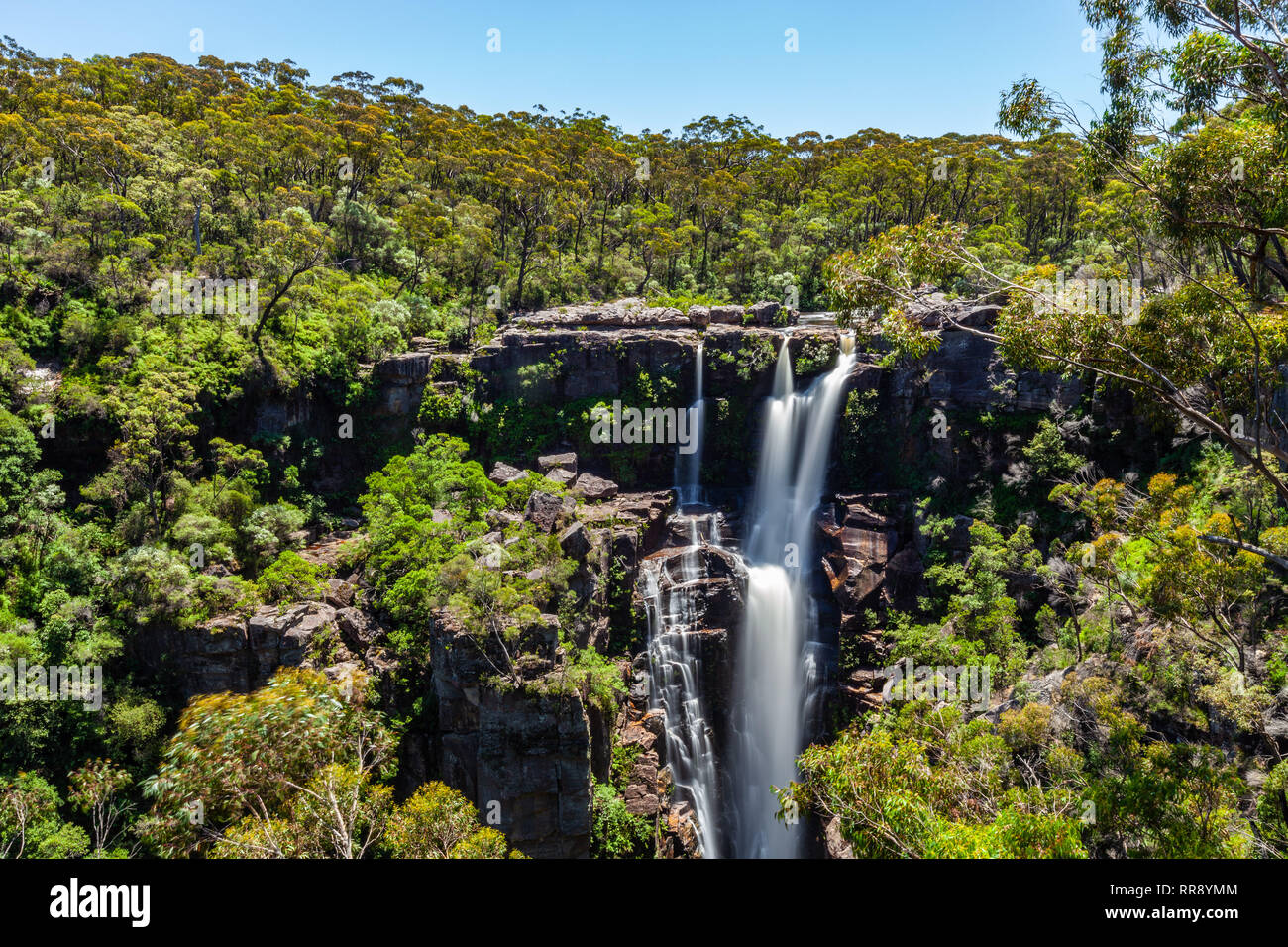 Amazing Carrington Falls - 160 mètres de haut. New South Wales, Australie Banque D'Images