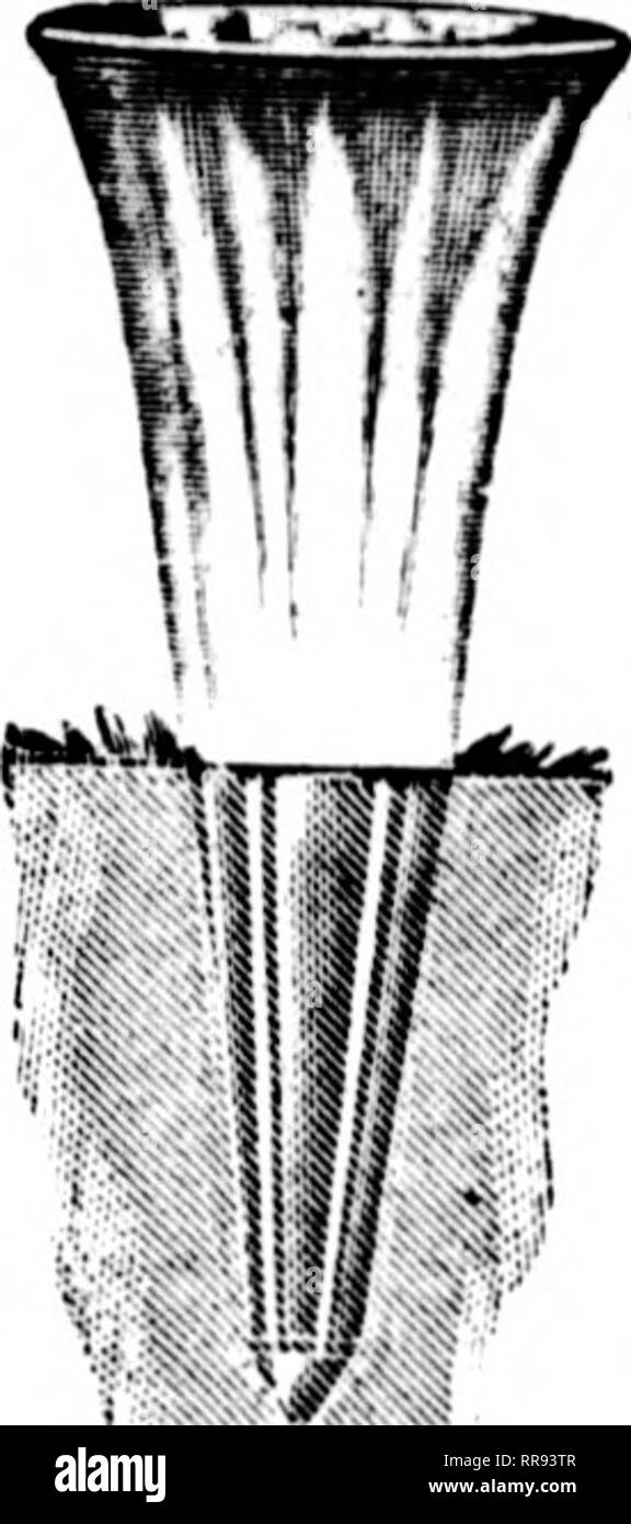 . Les fleuristes [microforme] examen. La floriculture. H. B. C. Cimetière spécial galvanisé ou lieavy Vase peint d'étain. Tliis est un vase très durable. N° 1-4x7, perdoz...$ 3,00 par 100 20,00 n° 2-5x8, par doz.... 4.00 par 100 30.00. No 15 No 15 Porte-bouquet en verre à coller au sol. 10 pouces, par doz....$3,50 par 12 pouces, douz... $5.50 16 pouces, par doz...,$9,00 Bouquet Cimetière porteurs n° X-L 5x9K-en- bol, par douz.. 2,00 $ par 100. $13.00 No 2, peint 4&gt ;^x8-. dans bol, par 100 3,00 $ n° 3, galvanisé 5x- OH-en- bol, [erdoz..$i.00 Par 10J.$ 13,00. Veuillez noter que ces images un Banque D'Images