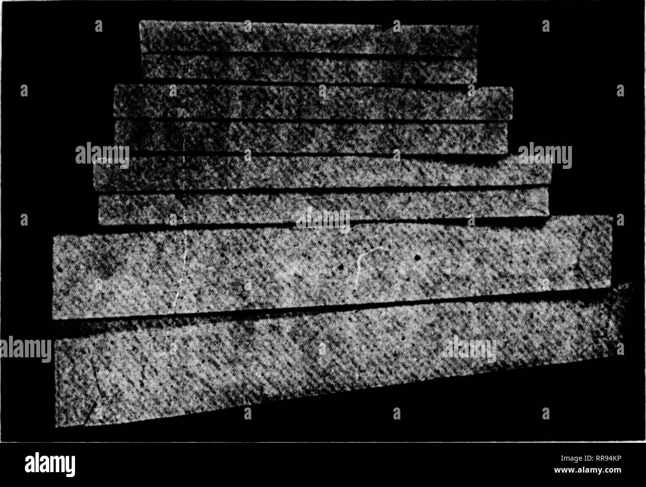 . Les fleuristes [microforme] examen. La floriculture. J^itjBCH 23, 1922 Les fleuristes^ revoir une bonne place au commerce des prix attractifs sur l'Floiver boîtes. Dans MILWAUKEK gris brume, la moitié par télescope 100 18 X 5 X 3 $3.75 21 X 6 X 31^ 4,40 24 X 5 X 33/^ 4,50 24 X 8 X 4 X 8 X 6,00 28 57,50 30 X 6 X 3&gt;45,50 tailles ci-dessus sont 100 à un paquet, et nous n'enfreignent pas les paquets. Boîtes Aérosol gris brume, télescope complet par 100 36 X 8x5 $11.00 30 X 12 X 6 15.00 36 x 12 x 6 X 12 X 42 18,00 620,00 48 X 14 X 6 Spray 28,00 boîtes sont mis en place 25 remplir les cases d'un paquet. Nous ne pas casser les colis Banque D'Images