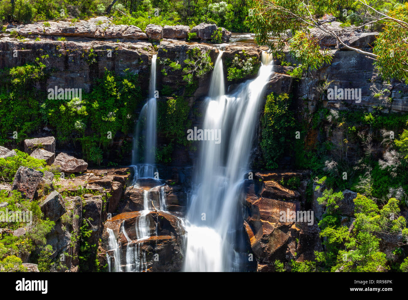 Vue rapprochée du Carrington Falls en Nouvelle Galles du Sud, Australie Banque D'Images