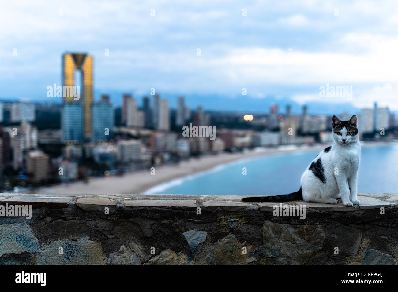 Benidorm, Espagne, 2019 Banque D'Images