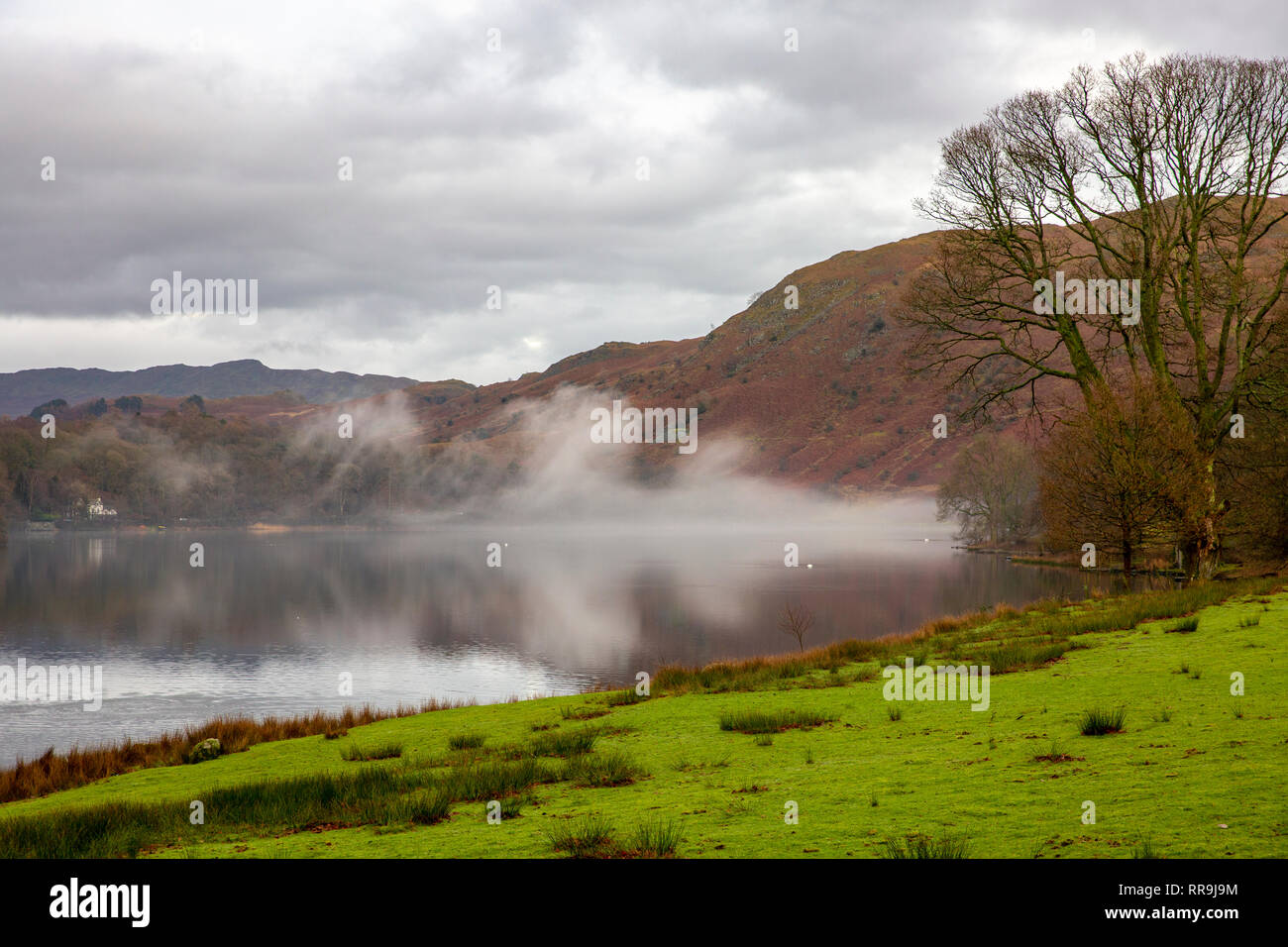 Tôt le matin, la brume au-dessus du lac de Grasmere Grasmere, dans le parc national de Lake District, Cumbria, Angleterre Banque D'Images