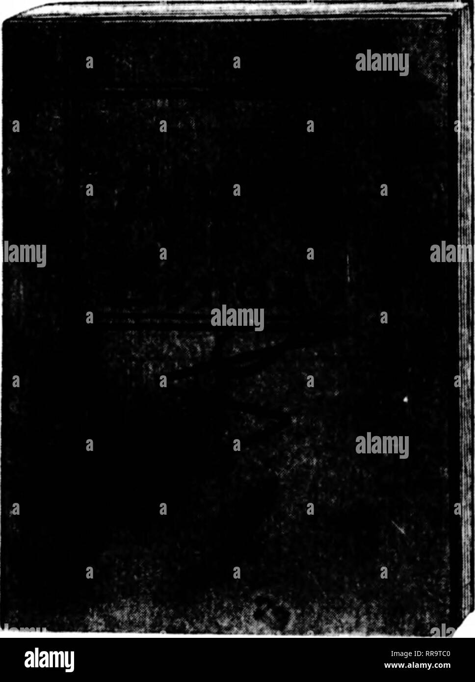 . Les fleuristes [microforme] examen. La floriculture. 2'/i-u. pot h;ie plus et l)etter ])aumône à ofil'cr cette année que l'orc hd. Tout ce que j'^^ri semences de bail sur ht sur notre propre place. sont de loin supérieurs et à l'usure que les plantes cultivées hetter •allumé de portes en maisons à lattes, envoyé en temps dis- ances de l'Kastern Middle West et marchés. Spinosa var. inermis cocos chaque 6-8 ins. haute de 0,15 $ 2'A-m. pot, 8-10 ins..... 20 ARECA LUTESCENS-.{ plantes en pot. Chaque pot de 6 in., 26-30 in. high ' $ 1.50 () iii.-pot, 30-34 ins. haute 2,00 BELMOREANA KENTIA, siimle, (&gt ; tu 7 feuilles. Chaque chaque 5-iii. pot. 22 ins. Haut..$ 1,007-UI. Banque D'Images