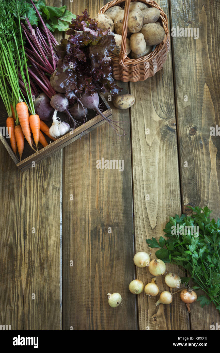 Récolte d'automne. Légumes frais, carotte, betterave, l'oignon, l'ail sur la vieille table en bois. Vue d'en haut. Style rustique Copy space Banque D'Images