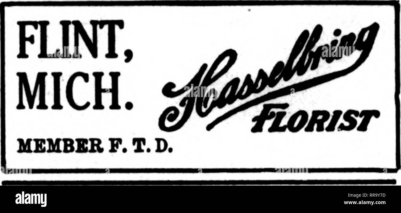 . Les fleuristes [microforme] examen. La floriculture. sont prêts à 10 ordres MICHIGAN COMMANDES SERONT CARE"'nLLY SOIGNÉS PAR HENRY SMITH CO. FLORAL INOOBPOBATBD GRAND RAPIDS ET GROS FLEURISTE AU DÉTAIL États F. T. D. 200 000 PIEDS DE VERRE CONSACRÉ AUX FLEURS ET PLANTES omcAoo Floral Central DETROIT QUI FIOWEBS "dernière" LONGBB 35-37 Broadway, Detroit, Michigan 132 N. State St., Chicago, Dl. Situé au centre ouvert en soirée ET LE DIMANCHE Membres F. D. T. DETROIT J. BREITMEYER'S SONS 1314 Broadway "toujours un moyen"sont de garder un œil, penonally, sur toute commande d'un frère fleuriste." Phil Banque D'Images