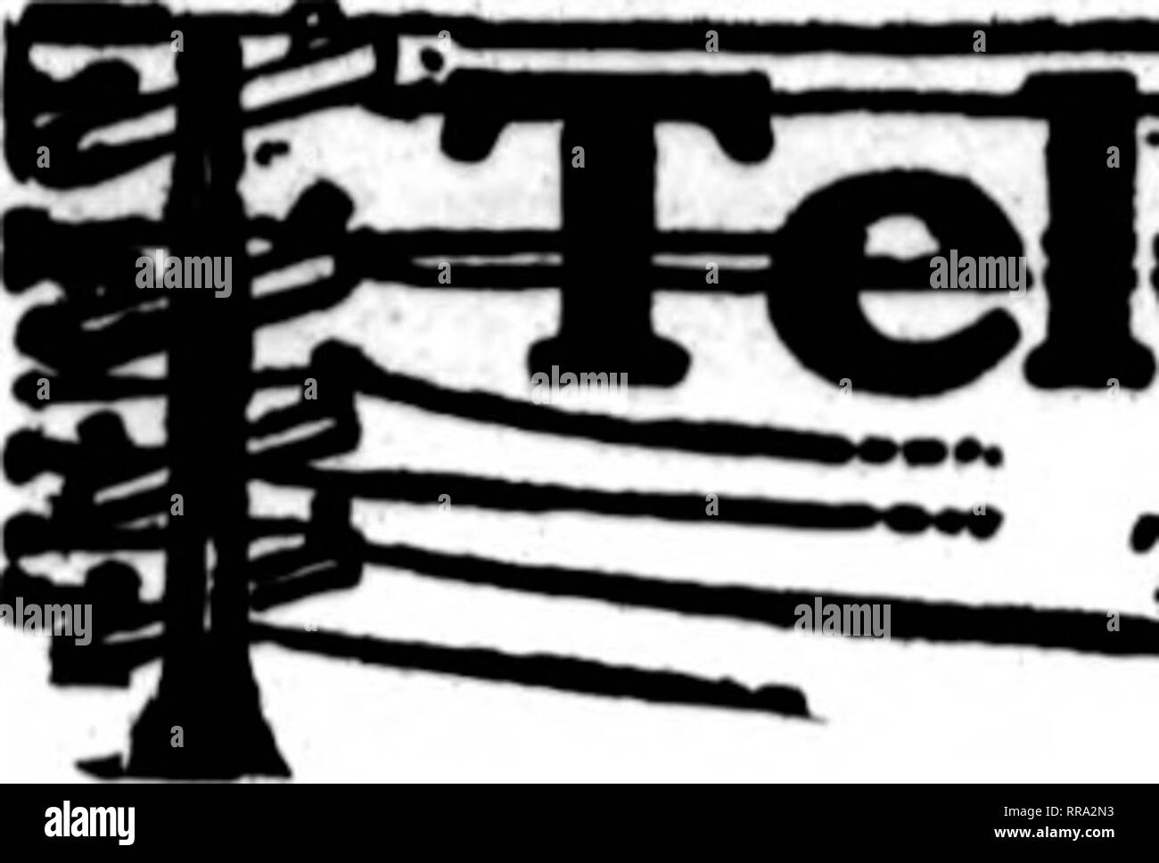 . Les fleuristes [microforme] examen. La floriculture. 9 NOTBUBIB^ 1922, les fleuristes d'examen. 127^florlsU Tle dont le patfes cartes apparaissent sur la tête de l'arc, prêt à remplir les commandes "* '" à partir de autres fleuristes pour la livraison locale sur la base habituelle.  ? ?""""^. Veuillez noter que ces images sont extraites de la page numérisée des images qui peuvent avoir été retouchées numériquement pour plus de lisibilité - coloration et l'aspect de ces illustrations ne peut pas parfaitement ressembler à l'œuvre originale.. Chicago : les fleuristes Pub. Co Banque D'Images