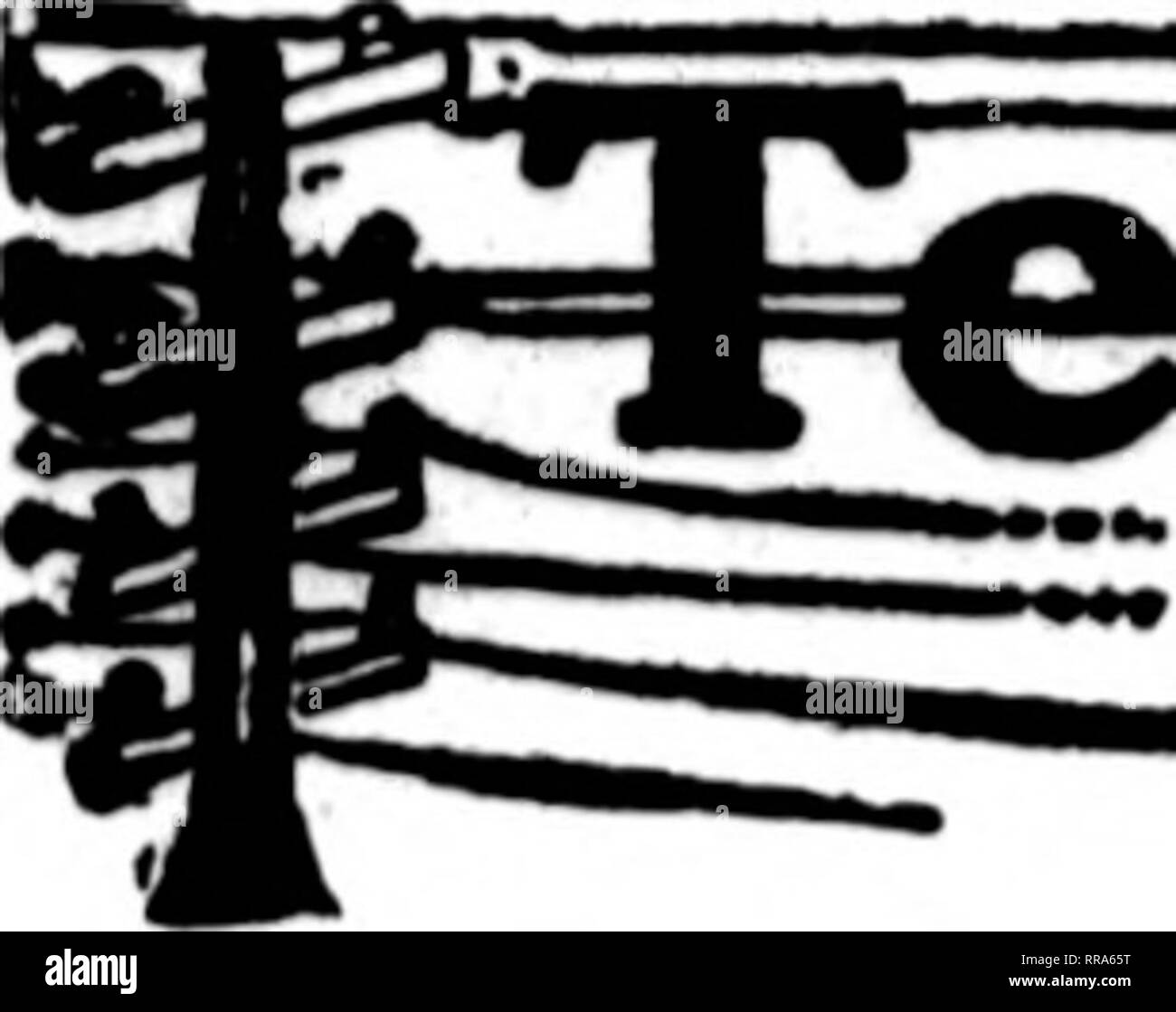 . Les fleuristes [microforme] examen. La floriculture. 126 l'examen d'août il^ les fleuristes. J92t. legraph UeUvei^ ?y =g ?ème"^cafds flo*tota qui apparaissent sur les pages carryliig ce chef, sont prêts à remplir les commandes. " D'autres fleuristes pour deUveiy locaux sur la base habituelle.  ' SAN FRANCISCO F. Ch. JAEGEJl &AMP ; FILS, Perle et environs -MASTER- FLEURISTES MEMBRES P. D. T. Ml Powell Street, SAN FRANCISCO, CALIFORNIE. San ^ranclsco Oakland, Berkeley et environs CHAS. C. NAVLET CO. trois magasins : " 423 et 427 Market Street SAN FRANCISCQ, Californie. 917 rue Waahington OAKLAND. CALIF. 20 et 22 à l'Est San Fernand Banque D'Images