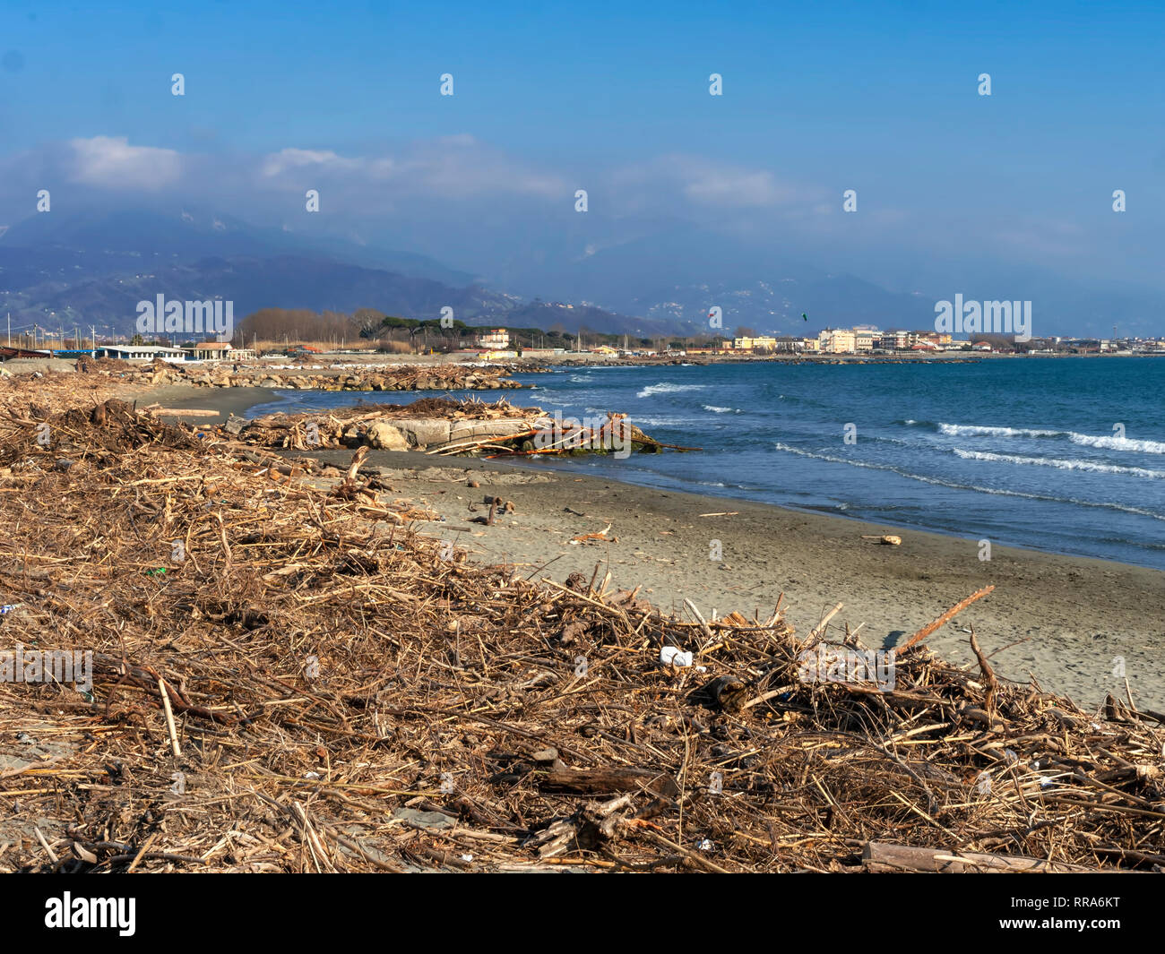 Bocca di Magra, Marinella, Massa Carrara Italie. Soleil et des débris de plage, etc driftwood après la tempête d'hiver. Banque D'Images