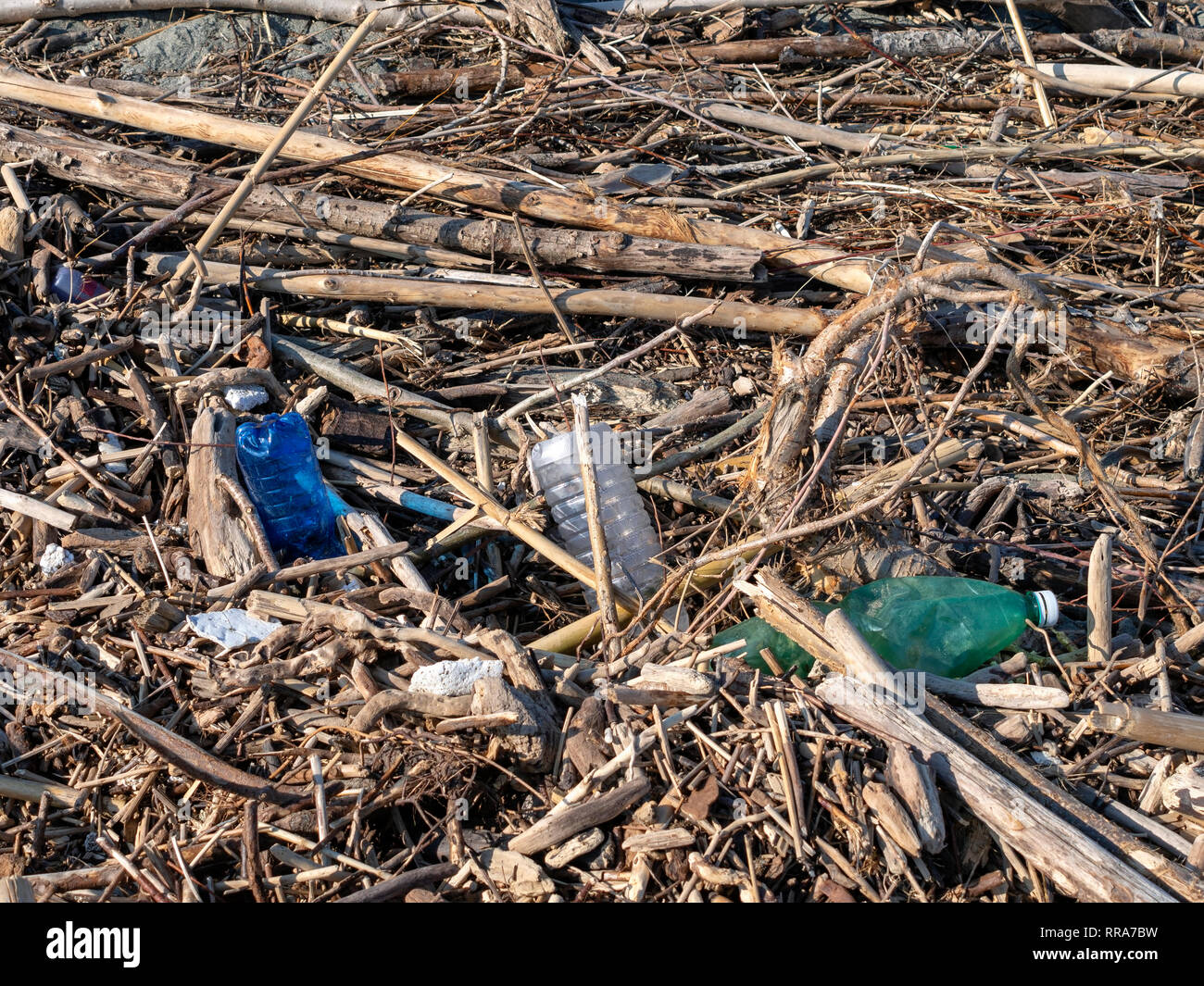 Des débris de plage échoués après tempête d'hiver. Drfitwood branches bois et des bouteilles en plastique. Lendemain de tempête. Banque D'Images