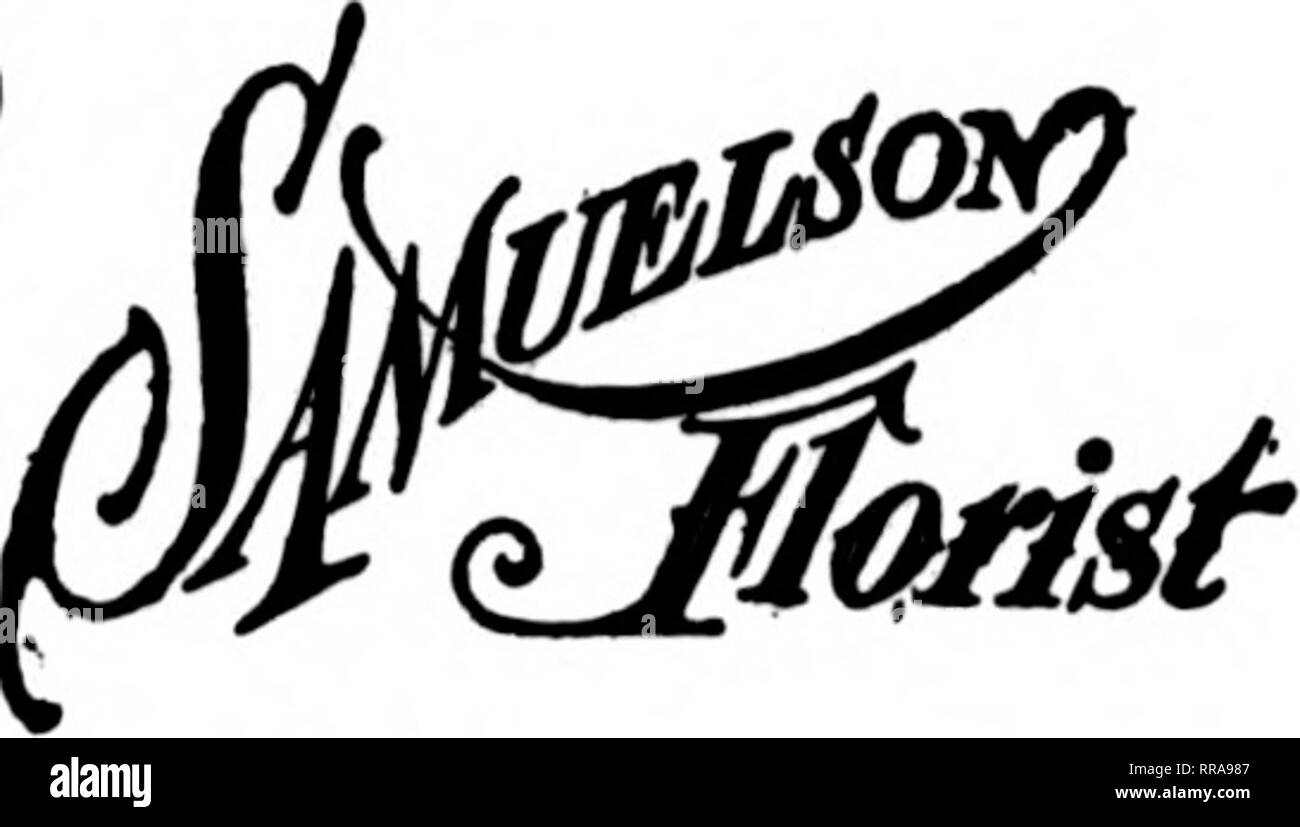 . Les fleuristes [microforme] examen. La floriculture. 1924 L 7En Si mon pMtol la ville de Chicago, ILL. WHEATON/ch ; à l'ouest de Chicago. OTTO F. MAU 115 MOLINE, malade. Mote n^e^" WM. H. GENOUX &AMP ; FILS ROCKFORD. Mauvais. et environs ROCKFORD CO. FLORAL   ^ ^ 103 West State Street J'rompt les livraisons à Rockford College ROCKFORD,MAUVAIS.,et environs SWAN PETERSON &AMP ; FILS "^TS État E. Comer et Longwood rues. Michigan Avenue Chicago 232-234 États F. D. T.. Elxecuted avec soin les COMMANDES ET TOUS LES FAUBOURGS"^ » CHICAGO/d ?/"" CD ^j- OU I ER : ;57 N. HAMILTON AVE. Ouvert le soir et le dimanche. Membres Banque D'Images