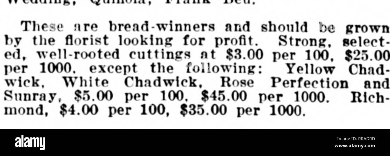 . Les fleuristes [microforme] examen. La floriculture. 154 Les fleuristes^ Review avril 29. 1922-Suite chrysanthèmes chrysanthèmes. Buckbee'B exposition primés et com- merciales, varietleB estubliahed bien, propre, liealtby ?tac. Racinés 2-lncli par par par 100 1000 100 Caporal Piper, meilleure exposition jaune- &gt ;.... 9 10,0" M. Enguehard, rose 8.Gel précoce 25,00 8,00 26,00 blanc, B. A., Seldewitz 26,00 8,00 rose Noces d'Or, l'un des meilleurs de jaunes • . • • 8,00 deep crimson de Harvard,.... 8,00 20,00 6,00 James Fraser, exposition yel- faible 6 00 Jeanne d'Arc, exposition blanc 10. Banque D'Images