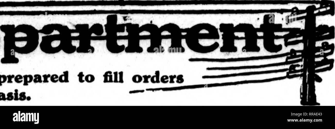 . Les fleuristes [microforme] examen. La floriculture. Le  flortota cartes dont apparaissent sur les pages contenant cette tête, sont prêts à remplir les commandes des autres fleuristes pour la livraison locale sur la base d'habitude.. SAN FRANCISCO F. C. JAEGER &AMP ; FILS, Florins AMH nrTT !TV -MASTER- VIUIMII FLEURISTES AINU MEMBRES F. D. T. 141 Powell Street, SAN FRANCISCO, CAUF. S F CHAS. Un rrancisco NAVLET CO. C. OAKLAND. BERKELEY et environs trois magasins : 423 et 427 Market Street SAN FRANCISCO. CAUF. 917 Washington Street Oakland. CAUF. 20 et 22 de la rue San Fernando est... .SAN JOSEl. CAUF. San Francisco, Californie SHEL Banque D'Images