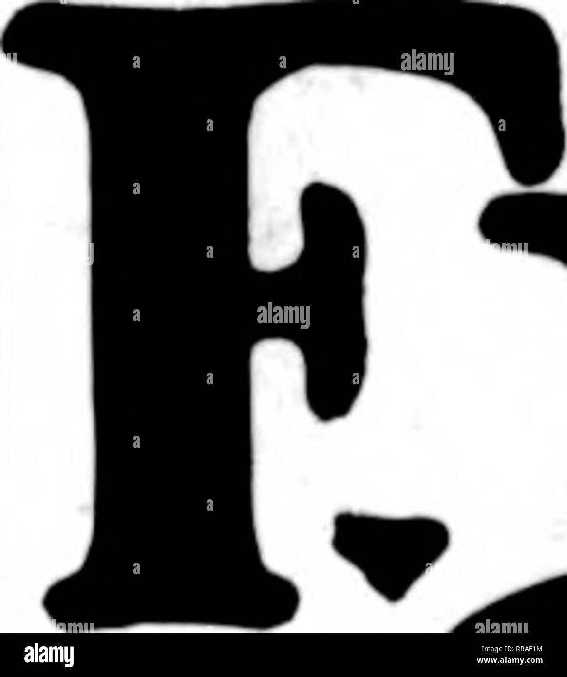 . Les fleuristes [microforme] examen. ^nrsst ipsji. Floriculture**'. 20 Apbil Rorists^ 1922, le ressort de l'examen des plantes et bulbes PRÊT POUR EMBARQUEMENT PROMPT CANNAS-2 à 3 racines de l'œil par 100 par 1000 l'Autriche, l'yeilow 20,00 $ 2,50 $ Chas. Henderson, rouge 2,75 25,00, de la ville de Portland rose rose 7,00 60,00 David Harum, bronze leaf 2,75 25,00 2,75 Florence Vaughan, jaune 25,00 4,50 40,00 le roi Humbert Président, Scarlet 8,50 75,00 la colossale Wintzer, Scarlet 5,00 40,00 Yellow Humbert, bronze leaf 3,50 30,00 DAHLIAS - Ces touffes indivis sont spltndid valeurs ; vous en trouverez un prêt vendeur dans le Banque D'Images