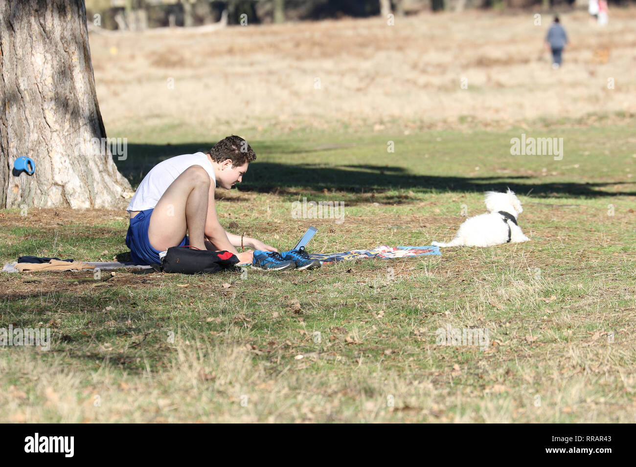 Londres, Royaume-Uni. Feb 25, 2019. Les gens de la faune et de profiter de la journée la plus chaude jamais en février à Bushy Park, près de Hampton Court Palace. Credit : James Hancock/Alamy Live News Banque D'Images