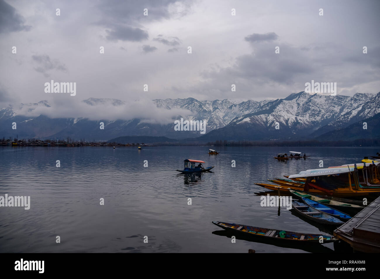 Srinagar, Jammu-et-Cachemire, en Inde. Feb 25, 2019. Bateliers du Cachemire sont vu leurs bateaux d'aviron sur le lac Dal pendant une journée nuageuse à Srinagar.Cachemire a été divisé entre l'Inde et le Pakistan depuis leur partition et l'indépendance de la Grande-Bretagne en 1947. La région contestée est revendiquée par les deux parties, qui ont mené trois guerres sur elle. Credit : Idrees Abbas/SOPA Images/ZUMA/Alamy Fil Live News Banque D'Images
