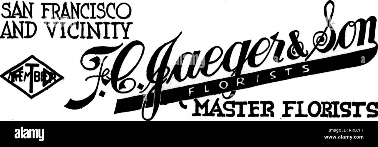 . Les fleuristes [microforme] examen. La floriculture. SAN FHANCISCO AUX ENVIRONS DE L'ANP. 141 Powell St IE FLOHSrS San Francisco, Calif. : s une rrancisco ET ENVIRONS États Florists' Telegraph Association livraison où F. T. D. vnll Membres obtenir la plus grande satisfaction Brown &AMP ; Kennedy 3091 Seizième Street San Francisco, Oakland et Berkeley aux environs CHAS. C. NAVLET CO. trois magasins : 423 et 427 Market Street SAN FRANCISCO. CALIF. 917 Washington Street Oakland, Californie. 20 et 22 de la rue San Fernando est... .SAN JOSE, Californie. SAN FRANCISCO, CAL. FLORAL ART CO. 255 Powell Street Best attentioa donné votre ou Banque D'Images