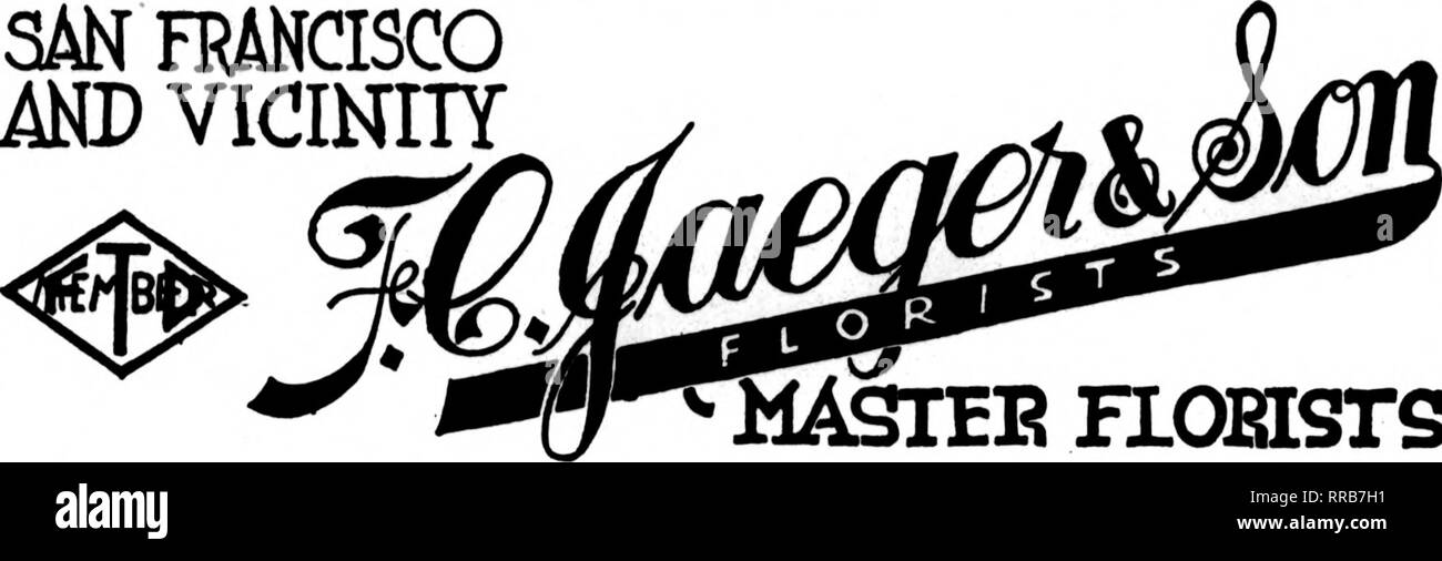 . Les fleuristes [microforme] examen. La floriculture. Les fleuristes dont les cartes apparaissent sur les pages carrjrlng ce chef, sont prêts à combler ordera "" ? ? ?" d'autres fleuristes pour la livraison locale sur la base habituelle. MD AUX ENVIRONS DE SAN FRANCISCO. 141 Powell St ^ PlOBISrS SanFranolSGo MASTEE, Calif. : s F où F. T. D. Les membres wUl obtenir la plus grande satisfaction une ranClSCO r Brown &AMP ; Kennedy et membre ViaNITY les fleuristes livraison 3091 Télégraphe Association Seizième Street s rrancisco. F cin OAKLAND BERKELEY et environs CHAS. C. NAVLET CO. trois magasins :- 423 et 427 Market Street SAN FR Banque D'Images