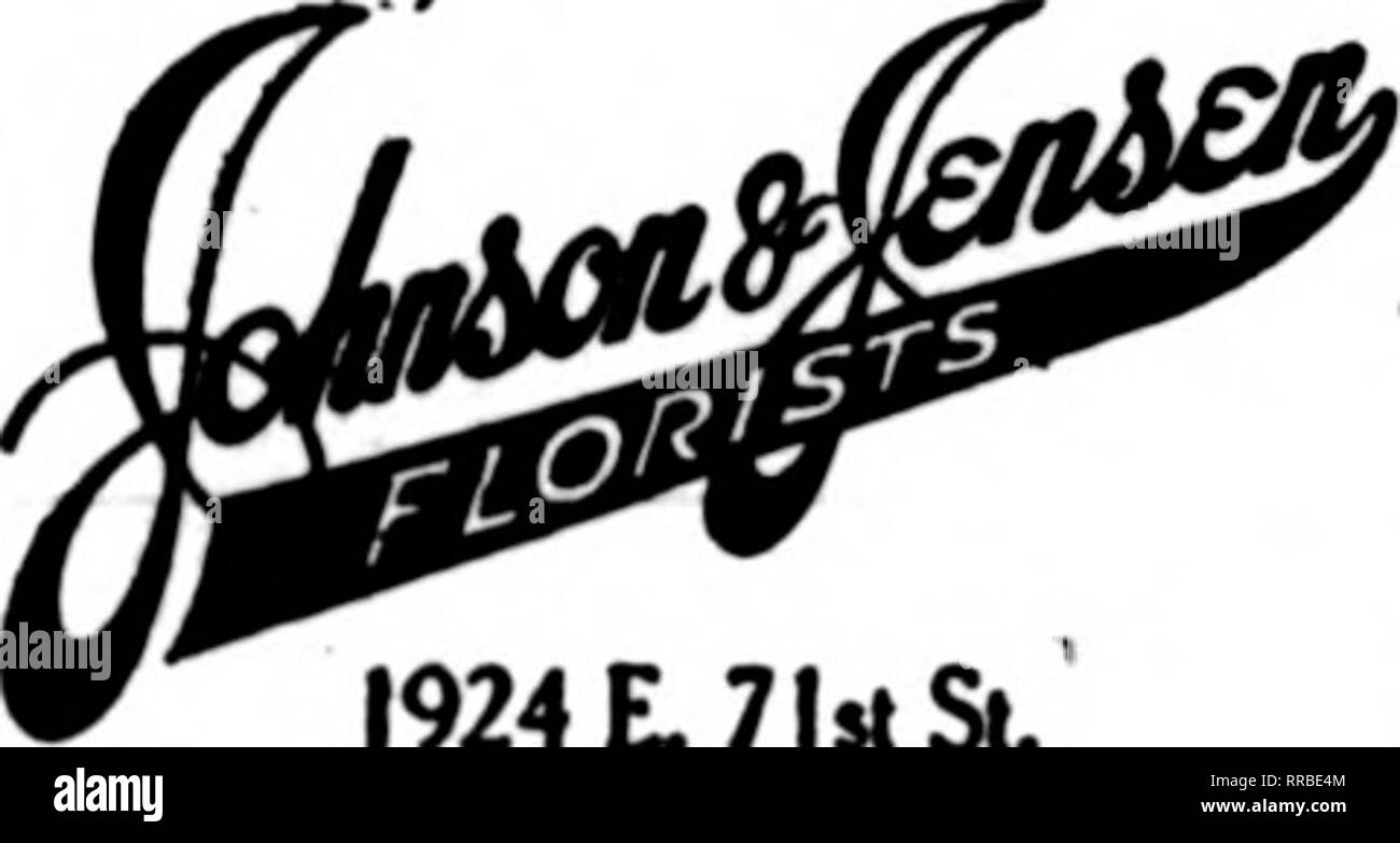 . Les fleuristes [microforme] examen. La floriculture. S.LCor.47e Rue et Park Avenue. LE LAC DES INSTALLATIONS SANS ÉGALE.WIENHOEBER CO. 22 B. ELM ST., Chicago sont disponibles pour le commerce de remplir toutes les commandes. MKBIBER F. D. T.. 1924 L 71e llcli St. Chicago vends niwc lo Mon oc vcn vtut MOQibs* kM DCI ville vice-^ nattow" o il Chicago O'LEARY Fleuriste-369 East 47to Street États F. D. T. envoyer vos commandes à Chicago, H. N. BRUNS mieux équipée Store sur le côté Webt 3040 W. Madison St.. CHICAGO. Mauvais. GEORGE FISHER &AMP ; FR. 183 N. WABASH AVE. ^CHICAGO i-iV/rlrj ILiLi. Les États F. D. T. oREfe^SsKs C Banque D'Images