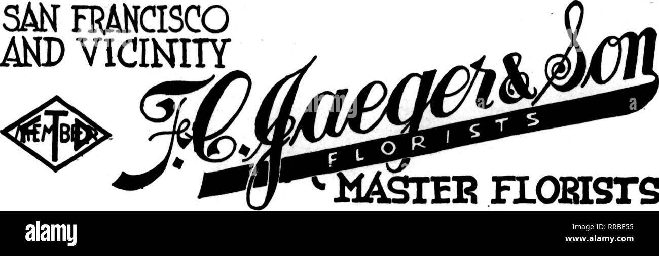 . Les fleuristes [microforme] examen. La floriculture. SAN FRANCISCO ET ENVIRONS. 141 ^ FIOBISTS MASTEE Powell St., SanFranolaco QaXif. San Francisco et environs États Florists' Telegraph Deliveiy Association Où F. T. D. Les membres auront la plus grande satisfaction Brown &AMP ; Kennedy 3091 rue 16e s F une rrancisco Oakland, Berkeley et environs CHAS. C NAVLET CO. trois magasins : 423 et 427 Market Street SAN FRANCISCO. CALIF. 917 Washington Street Oakland. CAUF. 20 et 22 de la rue San Fernando est... .SAN JOSE. CALIF. SAN FRANCISCO, CAL. FLORAL ART CO. 255 Powell Street meilleure attention y Banque D'Images