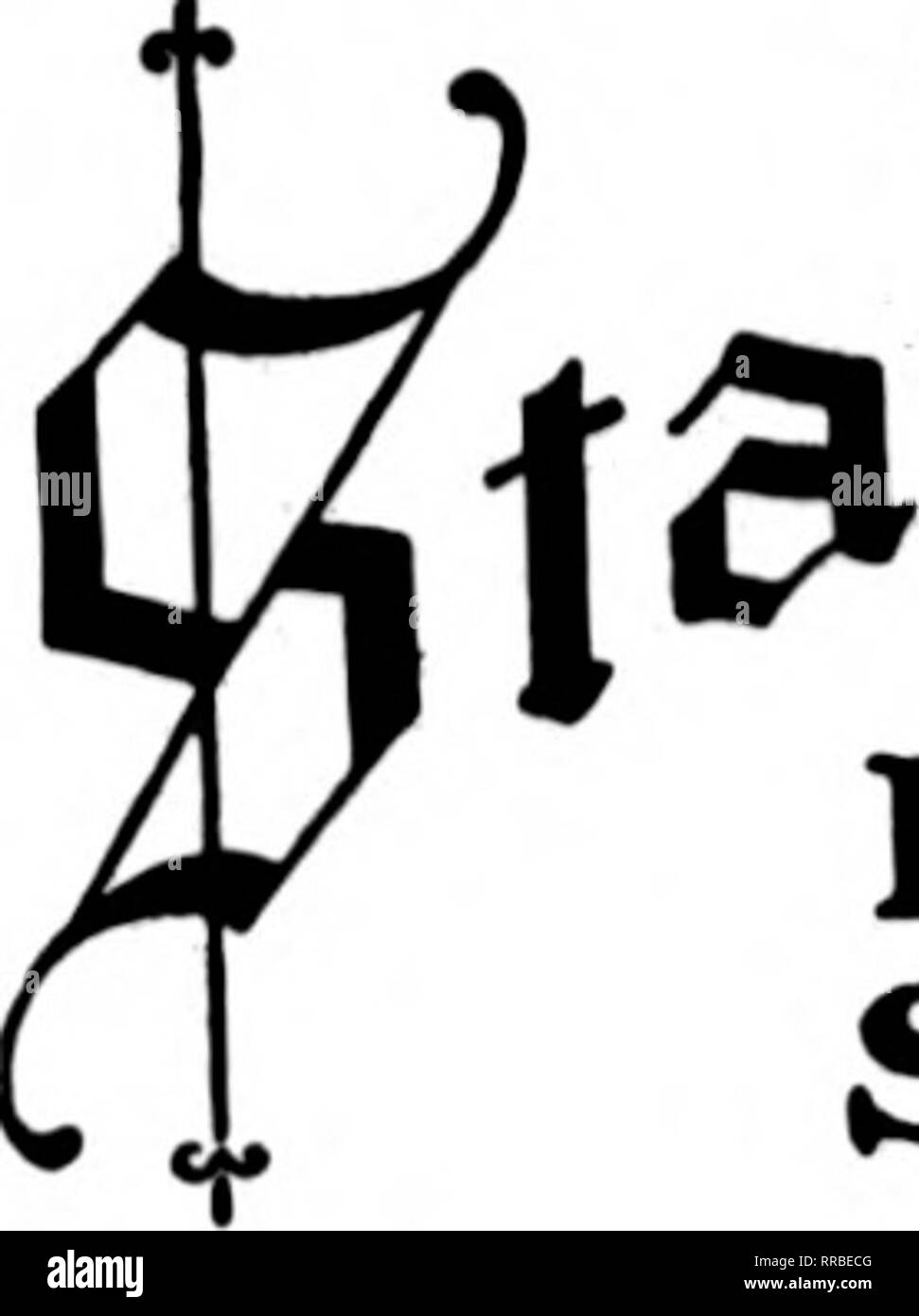 . Les fleuristes [microforme] examen. La floriculture. ATLrANTA.GA. MOBILE, l'ALA.  %Ar"# .l.^^^ Goodbrad noral Co. Mobile, Alabama ft.^ ! La Minge Co. Floral /^   • 1 ! Un Wpeilka 1 Un hsur frsm, /la. Beudnc OPEUKA camp, FLORAL CO. États F. D. T. BIRMINGHAM, ALA. PARKER'S FLOWER STORE Atlanta, GA. Je El 1 /^ Sapply fleurs pour tous. occMions rloral Lawrence Lo m ceonria ALBANY, GA. JACK SMITH émissions de CO.. Ylonit LAKE CHARLES ET LE SUD-OUEST DE LA LOUISIANE États F. D. T. CHAS. D. OTIS. Veuillez noter que ces images sont extraites de la page numérisée des images qui peuvent avoir été retouchées numériquement pour readabilit Banque D'Images
