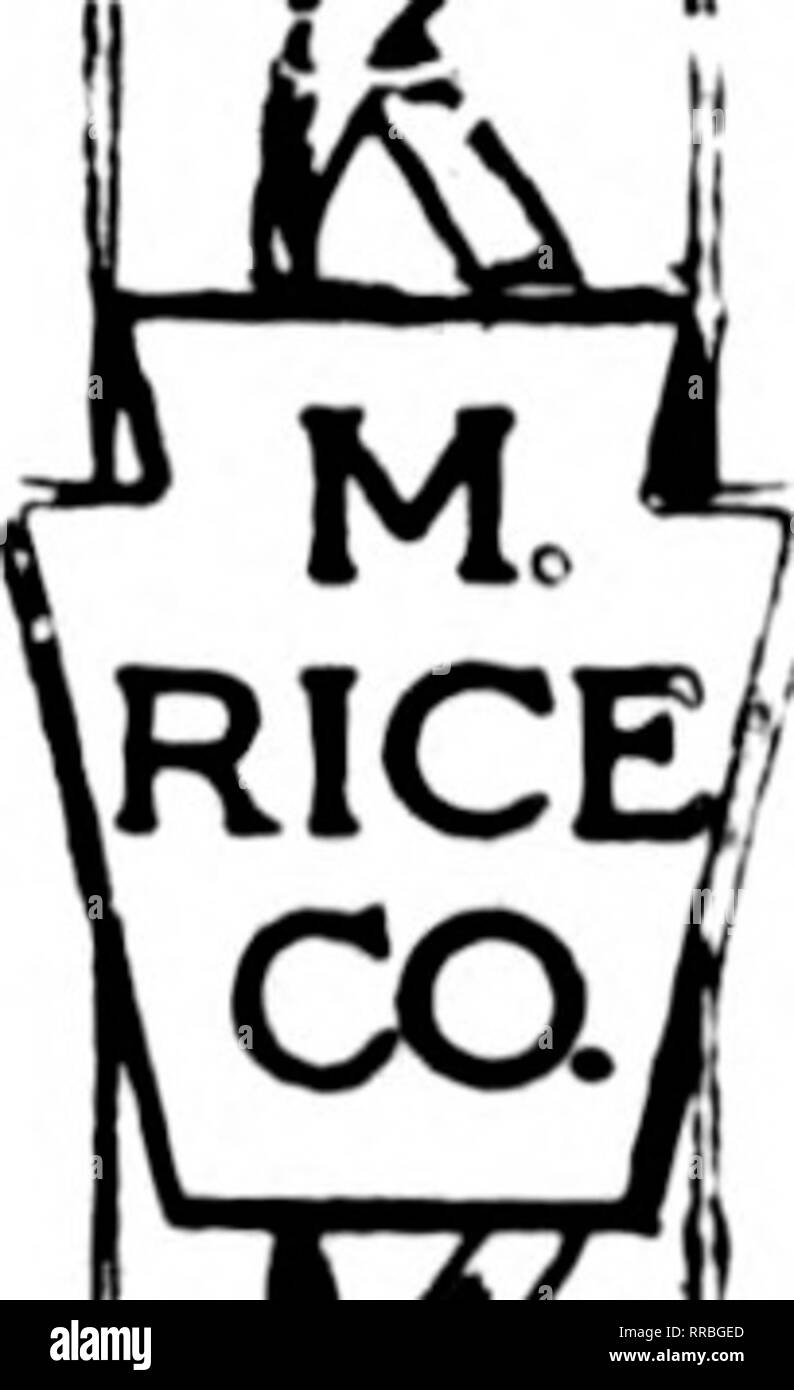 . Les fleuristes [microforme] examen. La floriculture. Pas trop tard si vous écrivez À LA FOIS POUR NOTRE ST. Dossier Saint-valentin de qualité "Keystone" attrayant nouveautés qui feront augmenter sensiblement vos ventes et d'aider à faire de cette occasion un jour de grandes ventes de fleurs mais n'attendez pas- Le temps est court. M. RICE CO. Fournitures pour fleuristes qu'Excel 1220-22-24 Garden Spring St. Philadelphie. PA. M. ^RICEi .fr i. iRICE/ Je cai j w rouge, blanc et bleu ^fv ! !^ V SONT TOUJOURS APPROPRIÉS l'anniversaire de Lincoln et Washington's Birthday sera bientôt ici et c'est la catégorie de marchandises que vous devriez avoir en stock à tous les Banque D'Images