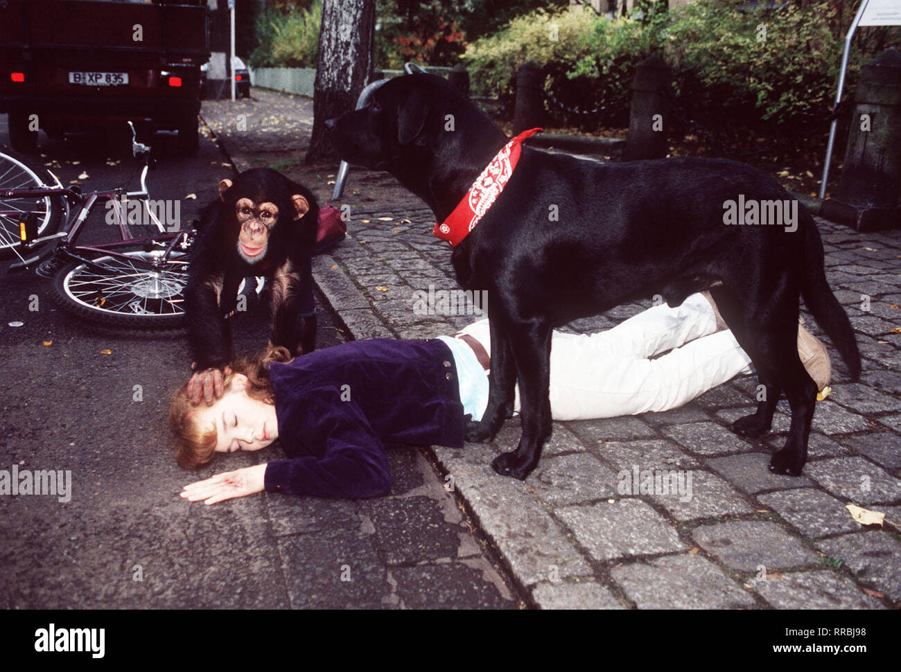 Sandra (SLA) Das Haus SUSANNE SCHERBEL verläßt, wird sie von einem Kleinlaster angefahren. CHARLY OTHELLO beobachten und den Vorfall, wobei es Schimpansen gelingt dem, auf die Pritsche des Wagens zu springen, der einfach dont braust. / V / 04DFAZDFUNS ,1 / Überschrift : UNSER CHARLY Banque D'Images