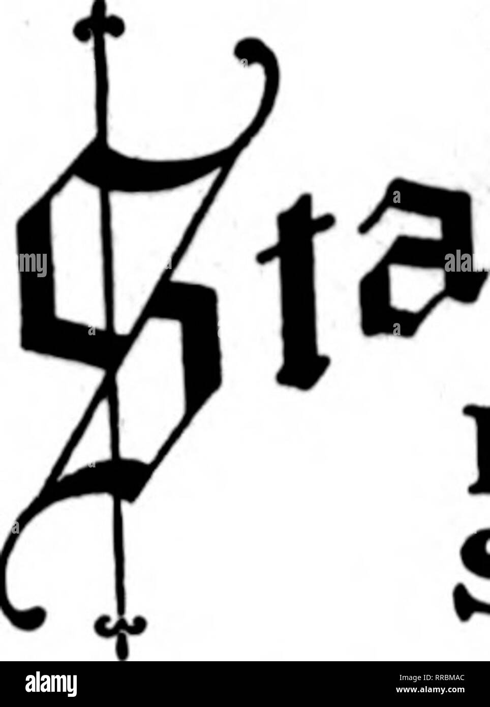 . Les fleuristes [microforme] examen. La floriculture. MOBILE, l'ALA. V^^^ bgr.l^ Goodbrad !* noral Co. Mobile, Alabama y.T' La Minge Co. Floral ^ |*1 Al je/pas VypellKa neur de, /ia., camp Bennlng FLORAL OPELIKA CO. États F. T. D BIRMINGHAM, ALA. PARKER'S FLOWER STORE Atlanta, GA. L . Cl 1 /^ Snpply awrence fleurs pour toutes les occasions. Lo Moral dans ceonria ALBANY, GA. JACK SMITH ÉMISSIONS CO., Horia LAKE CHARLES ET LE SUD-OUEST DE LA LOUISIANE États F. D. T. CHAS. OTIS D. ATLfANTA.GA.. Veuillez noter que ces images sont extraites de la page numérisée des images qui peuvent avoir été retouchées numériquement pour plus de lisibilité - Banque D'Images