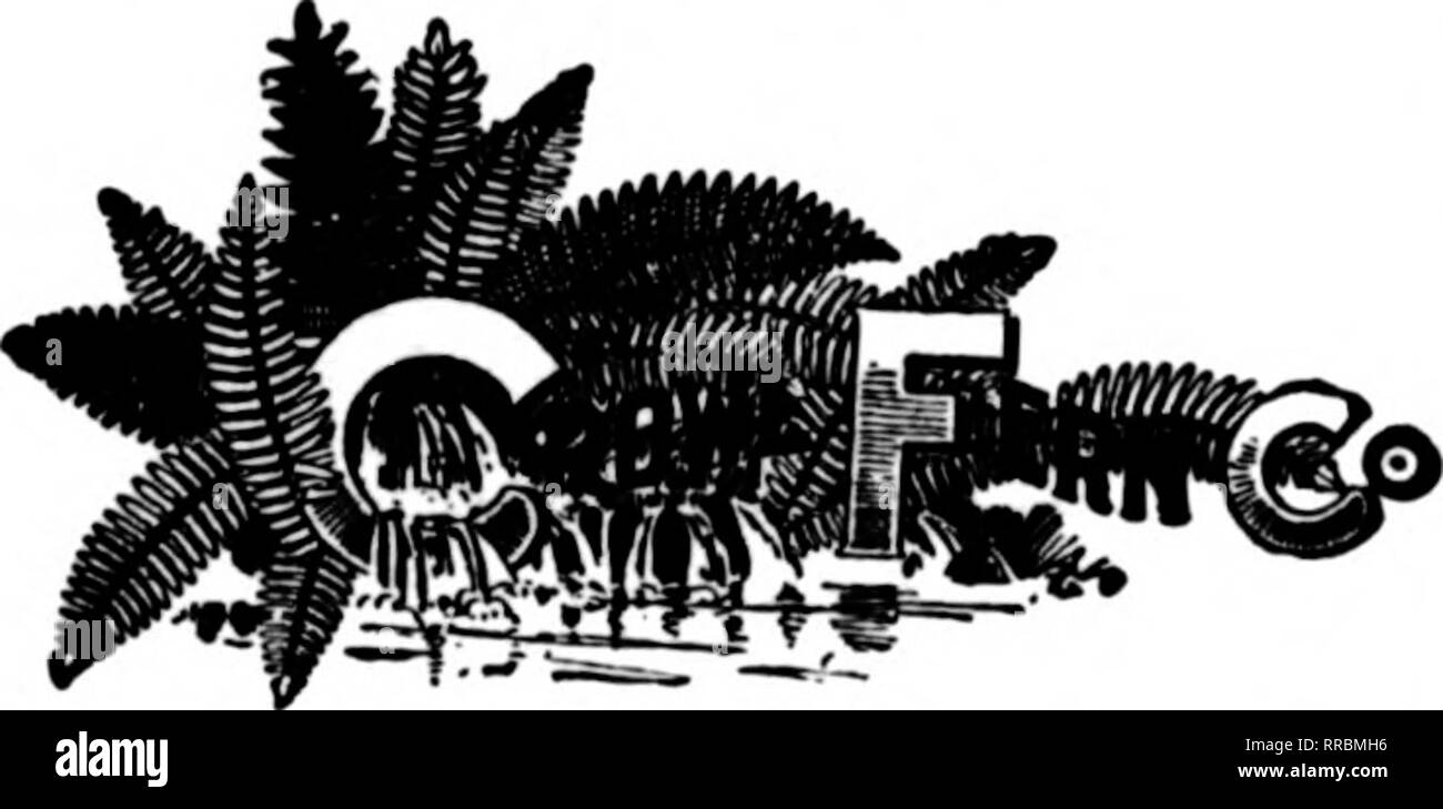 . Les fleuristes [microforme] examen. La floriculture. FlBBDABT 8, 1922 L'examen les fleuristes 57 Carton de Chicago 4433 Entreprise Ogden Avenue, Chicago, Illinois. D'iti"*r, Colo. p ... ( M. E. CHAPIN, Cinquième 516 Atoiiuo, New York City K"communication"."nt"tivo"^ 24x8x 28x8x 28 X 8 X 5 30 X 5 X 3 % 36 X 8 X 5 4 4 2 pouces haut $ 6,102 pouces haut 6,052 pouces haut 7,252 pouces haut 7,702 pouces haut 10,802 pouces haut 12,102 pouces haut 13,052 pouces haut 9,252 pouces haut 16,20 pour les sprays, les dessins et les fleurs 16 X 20 X 21 X 24 X 24 X 30 X 32 X 36 X 36 X 36 X 40 X 16 X 20 X 5 x 5 x 24 x 10 10 X 5 32 X 10 X 12 X 14 X 10 X 8 8 3 3H 8 6 8 6 P Banque D'Images