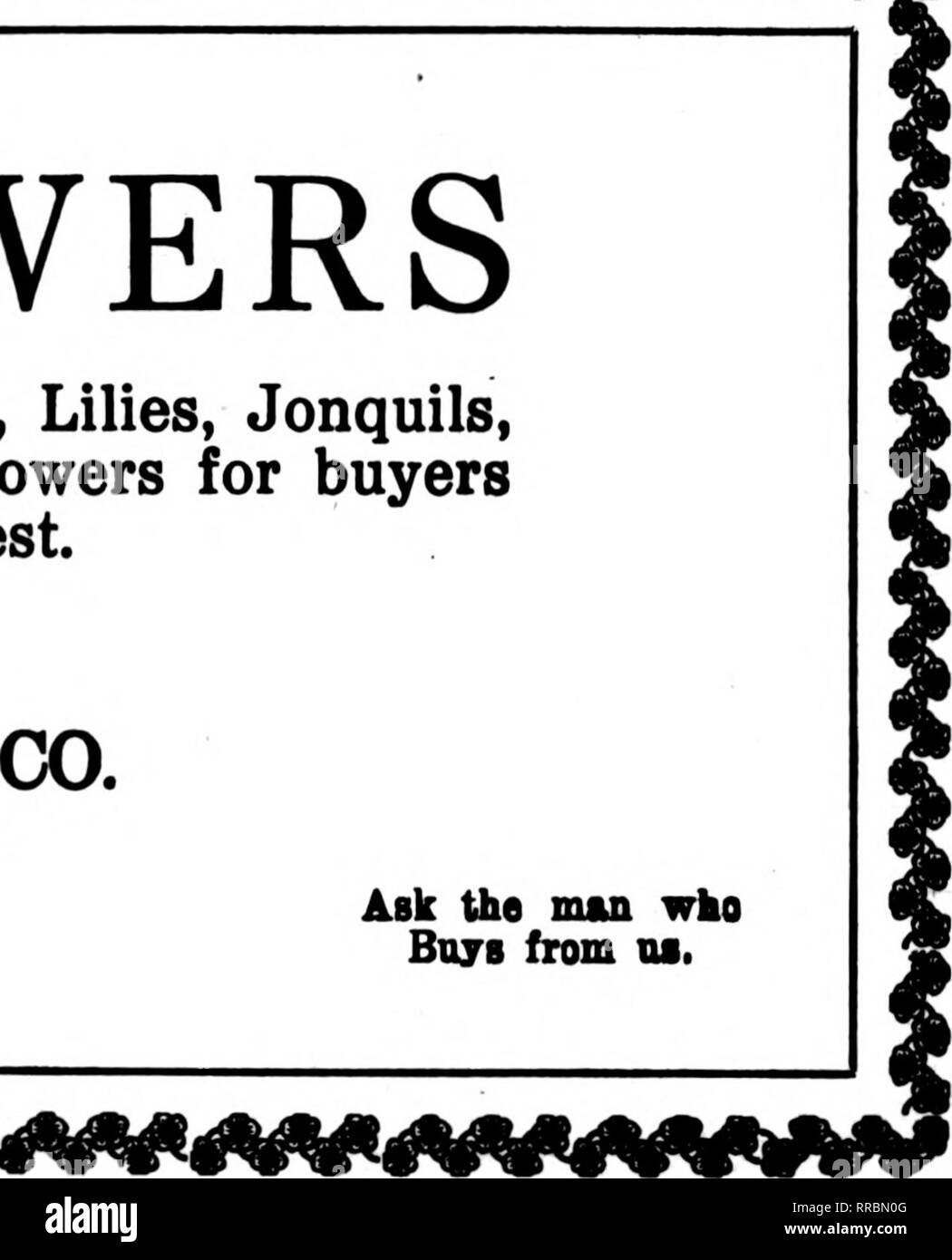 . Les fleuristes [microforme] examen. La floriculture. 48 L'examen Mabch fleuristes^ 2. 1922 Bon Stock en grande quantité peuvent nous avons le plaisir de remplir votre commande ? Colombie-britannique 4 3rchids &Lt ; [Calendulas Fougères Marguerites Œillets Premier Russell Elaster Lilies Adiantum Sunburst Stocks Milady Freesias Plumosus Brunner Ophelia Mignonette Pois Blanc Smilax KiUarney La Vallée des Papillons Feuilles violettes pensées Coontie Crusader Tulipes Buis Lierre mexicaine Mme Ward jonquilles des Zantedeschias Galax Sprengeri Nos prix sont plus élevés que d'autres jamais demander un tout aussi bon niveau de stock FRNE ^ ftOMPANY 30 E. Randol Banque D'Images