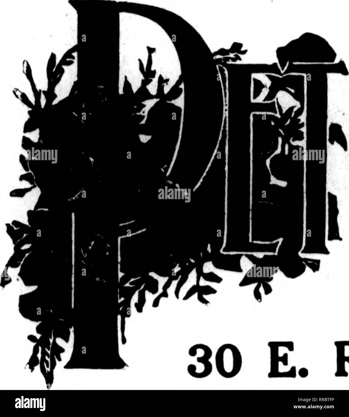 . Les fleuristes [microforme] examen. La floriculture. 8 septembre 1921 La revue^ Fleuristes 39. Veuillez noter que ces images sont extraites de la page numérisée des images qui peuvent avoir été retouchées numériquement pour plus de lisibilité - coloration et l'aspect de ces illustrations ne peut pas parfaitement ressembler à l'œuvre originale.. Chicago : les fleuristes Pub. Co Banque D'Images