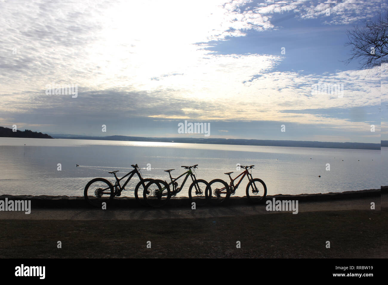 Parking vélos de montagne trois au bord de la mer. Sur la mer avec horizont au fil de l'eau et bois de bande. Banque D'Images