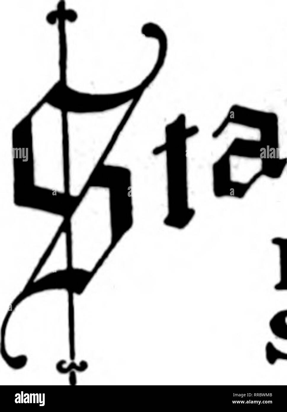 . Les fleuristes [microforme] examen. La floriculture. MOBILE, l'ALA.  %&Amp ;^f.t !d Goodbrad ?* Horal Co. Mobile, Alabama ¥T}^ : La Minge Co. Floral /^ |"| A I'un h"ur fr"dans Wpellka, /la., C"mp Bennlnc FLORAL OPELIKA CO. États F. D. T. BIRMINGHAM, ALA. PARKER'S FLOWER STORE Atlanta, Géorgie gardens Stora, S3 E. Hanter St. ; Greenhoaiiea 446, rue Lawton VENTE EN GROS ET AU DÉTAIL d'Atlanta, GA. Laurent oScLK Floral Co.)na°hf"eorgia ALBANY, GA. JACK SMITH CO., À EFFET Roria ATLANTA.GA.. Veuillez noter que ces images sont extraites de la page numérisée des images qui peuvent avoir été retouchées numériquement pour readabili Banque D'Images