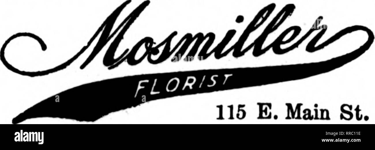 . Les fleuristes [microforme] examen. La floriculture. 413 MILWAUKEE Avenue Grand FLORAL ARRANGEMENTS EXCLUSIFS BAUMGARTEN, Inc. Membre F. D. T. 93 WISCONSIN ST. RICHMOND (Virginie). 115 E. Main St." TeletrraDh Ploris est membre de l'Association Prestation Richmond, Virginie l'Hammond Company, Inc. conduisant les fleuristes 109 EAST BROAD STREET : ROANOKE, Virginie. FALLON, Flori^j États les fleuristes Livraison de télégraphe Ass'n Charlottesville, Virginie W. A. Lankford, Rorist le^ "f/S.'o'J"^^, Portsmouth en Virginie le coton Fleuriste, 333 High St Petersburg, VA. Mme. ROBT. B. STILES, téléphone 910 1202 Florides W. Washington St LYNCHBURG, Virginie 1 1 GRAS Banque D'Images