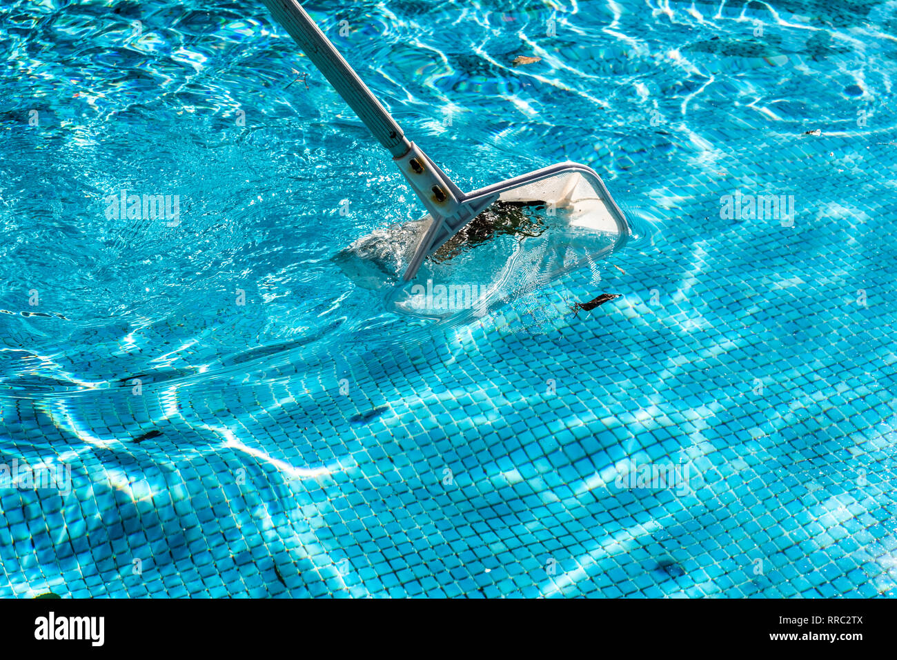 Râteau ramasse-feuilles Net piscine en été Photo Stock - Alamy