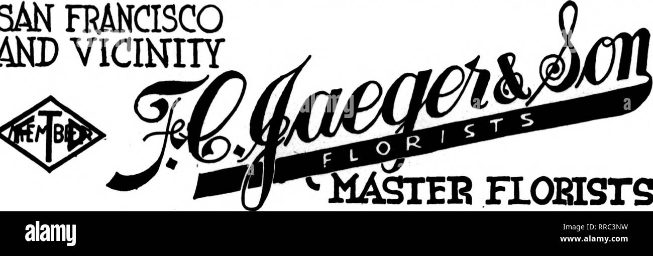 . Les fleuristes [microforme] examen. La floriculture. Les cartes dont la florista apparaissent sur les pages carryinjl ce chef, sont prêts à remplir les commandes "'"''"' de autres fleuristes pour la livraison locale sur la base habituelle. SAN FR&amp;NCISCO Worldwide Channels M) aux environs 141 Powell St.. FLOBISrS SanFranclSGo, Calif. : S ; une rrancisco et environs fleuristes* Membre de l'Association Prestation Télégraphe où F. T. D. Les membres auront la plus grande satisfaction Brown &AMP ; Kennedy 3091 rue 16e s F une rrancisco OAKLAND. BERKELEY et environs CHAS. C. NAVLET CO. trois magasins : 423 et 427 Market Street SAN FRANCISCO. CA Banque D'Images